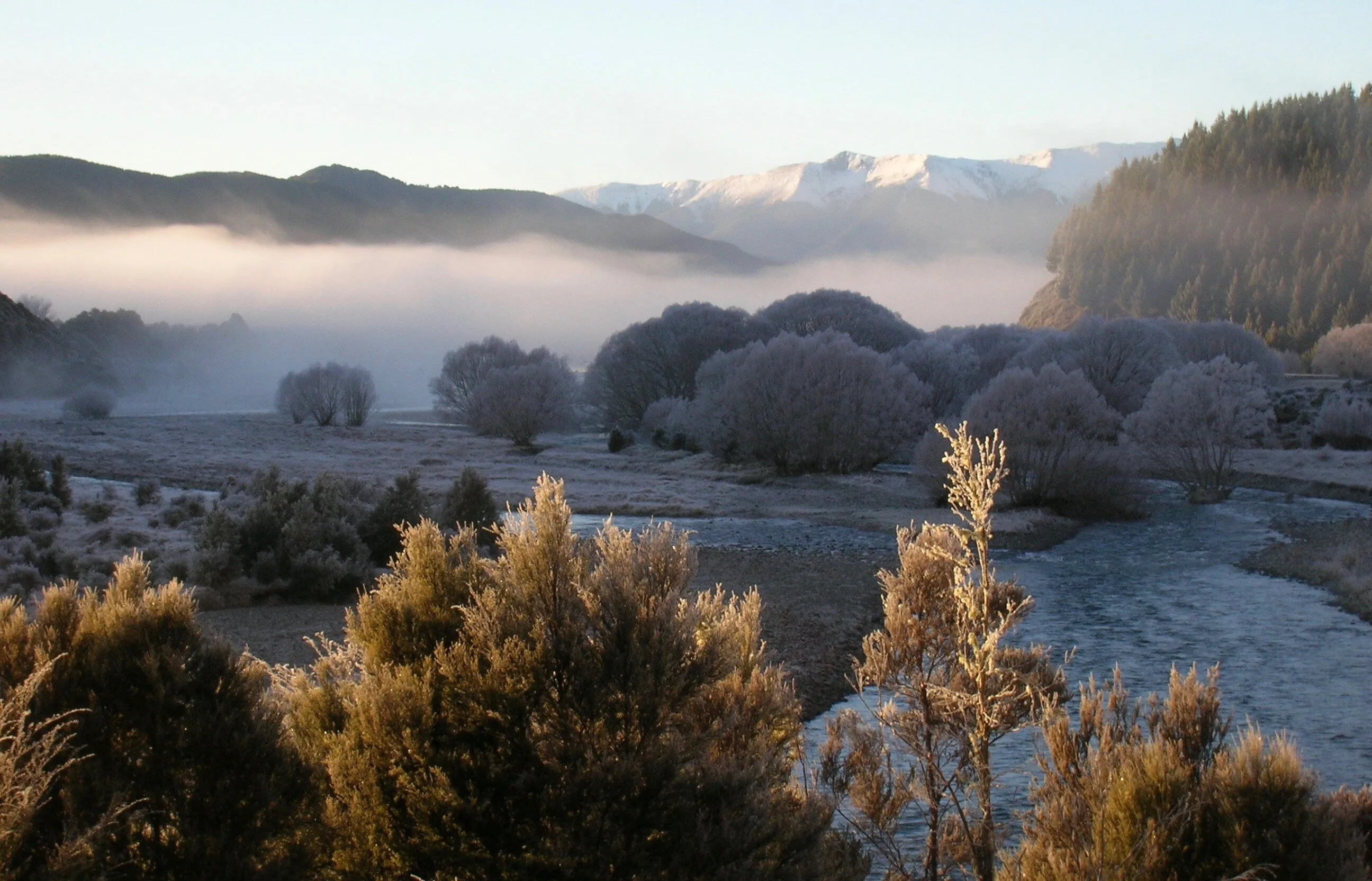 A Winter's Morning