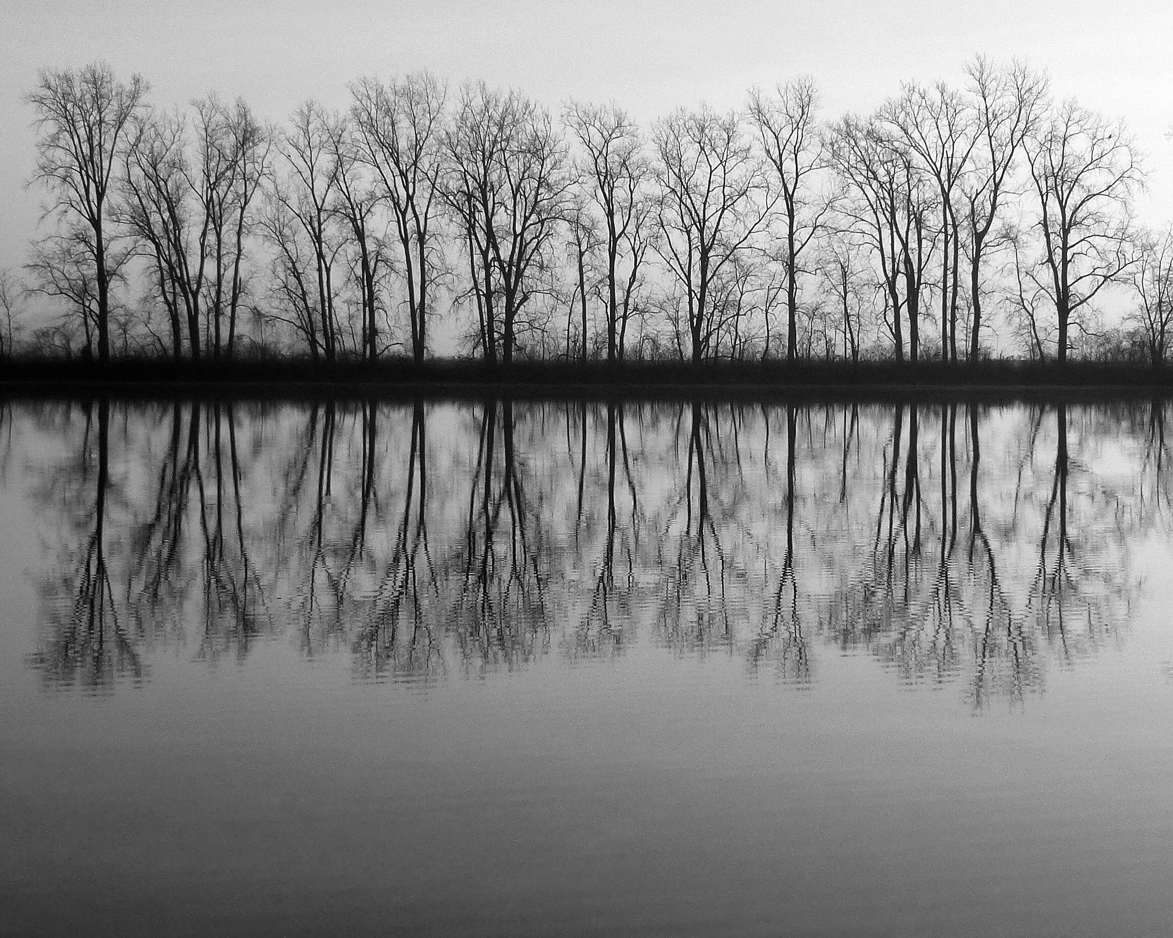 Morning at Aldrich Pond