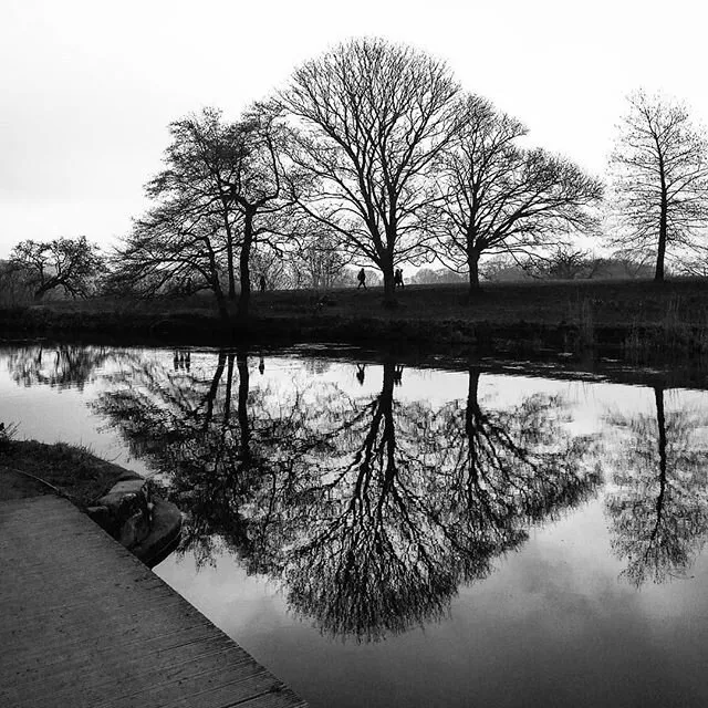 Reflection