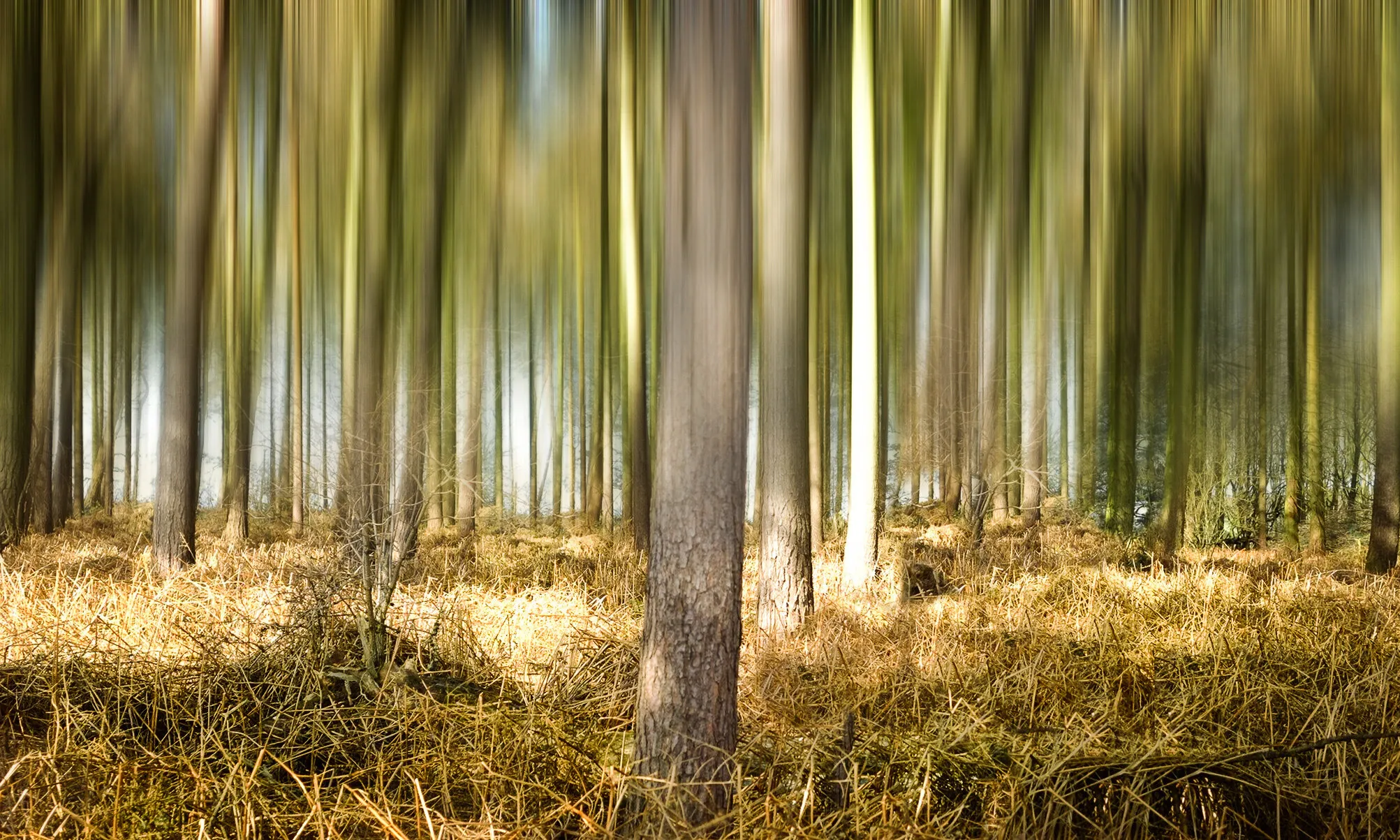 edited trees