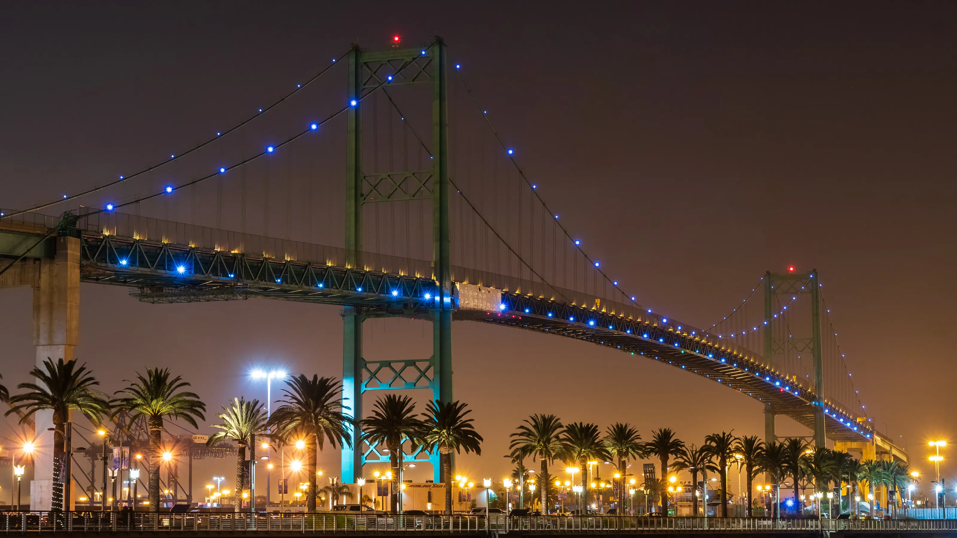 Vincent Thomas Bridge