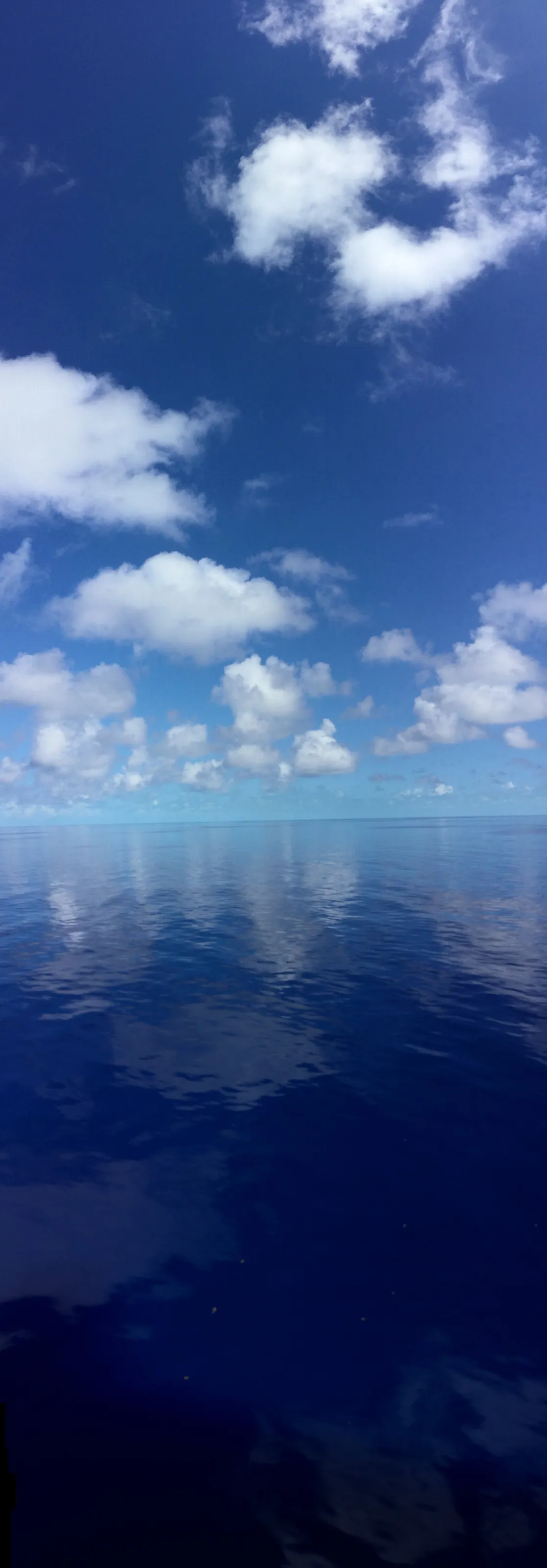 Infinite Caribbean
