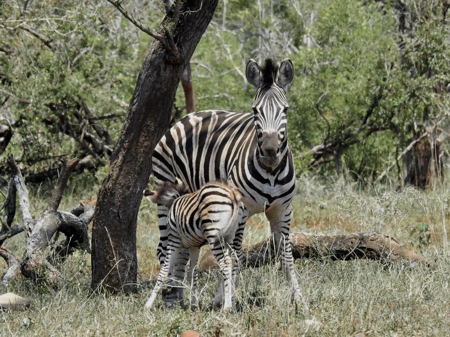 Mother and baby