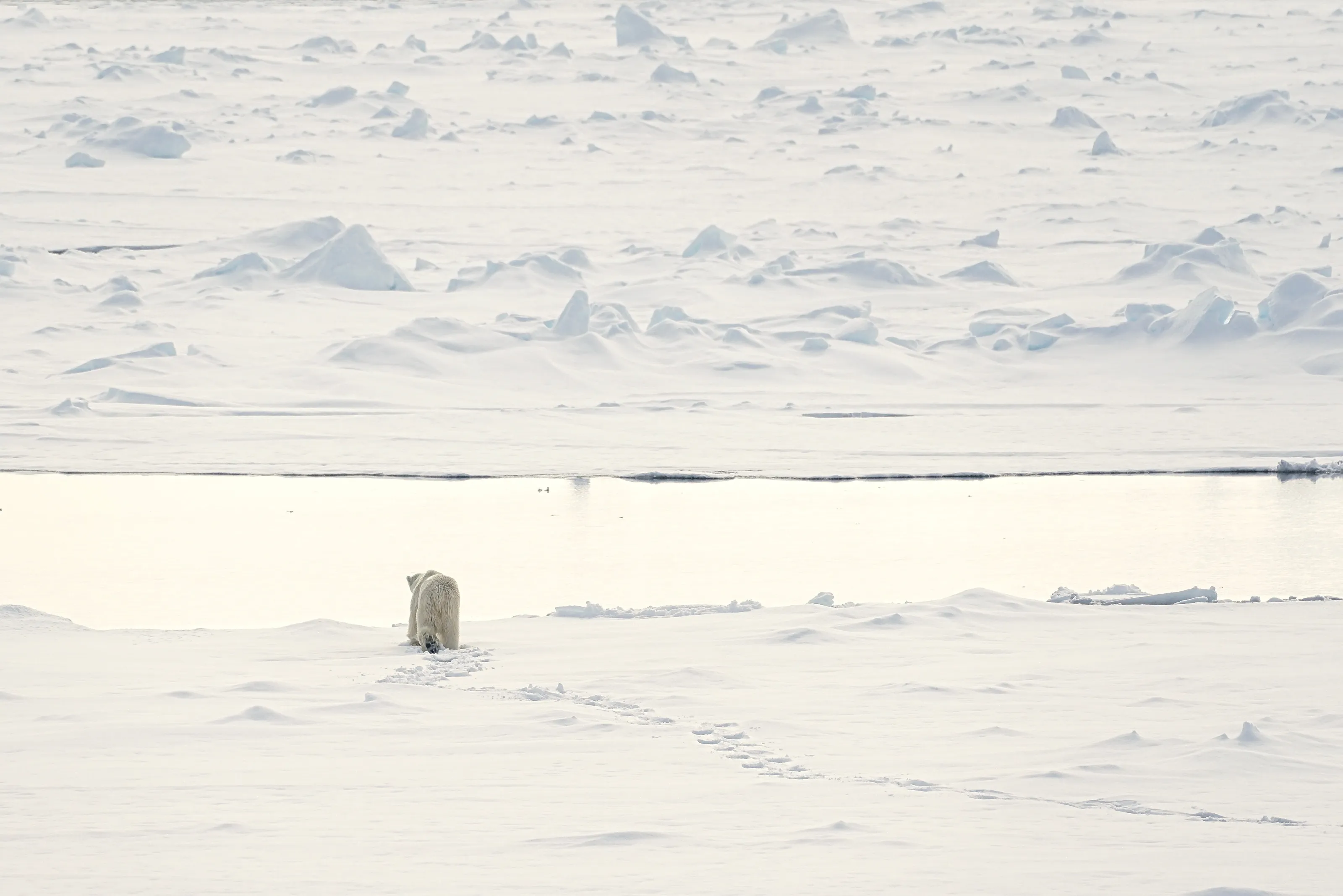 Polar Landscape and global warming,  let's not turn our back on it.