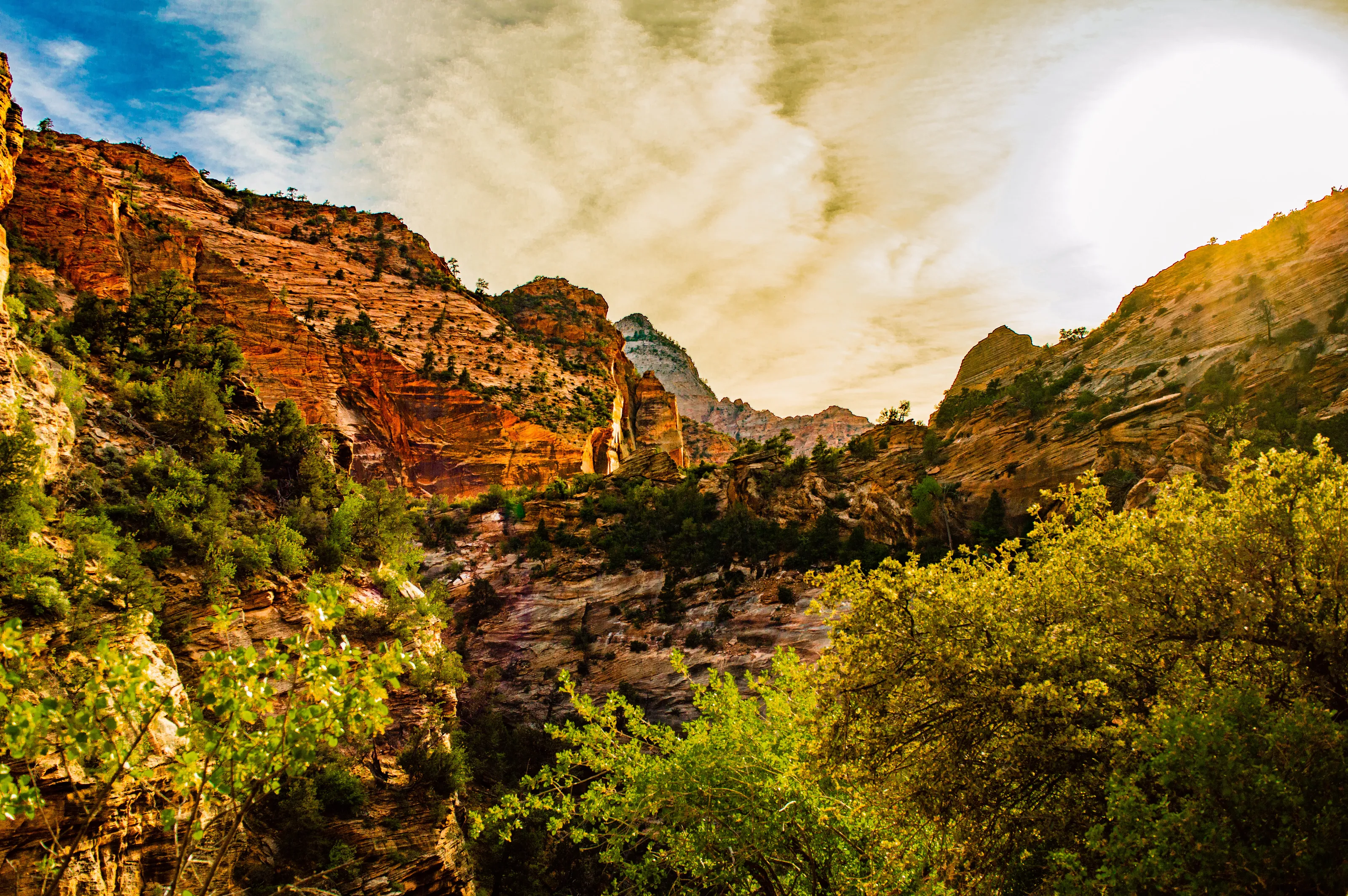 Zion National Park