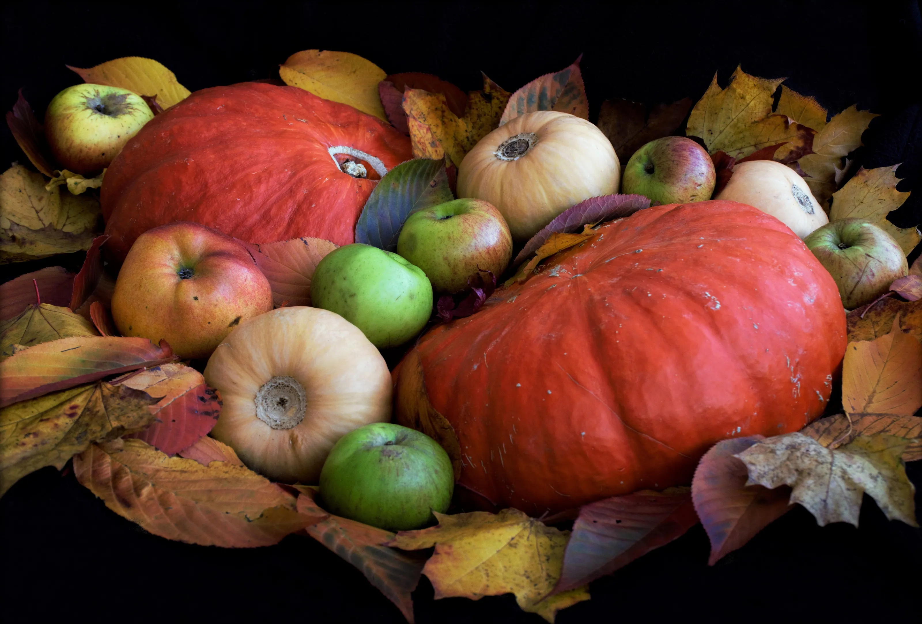 Autumn Bounty