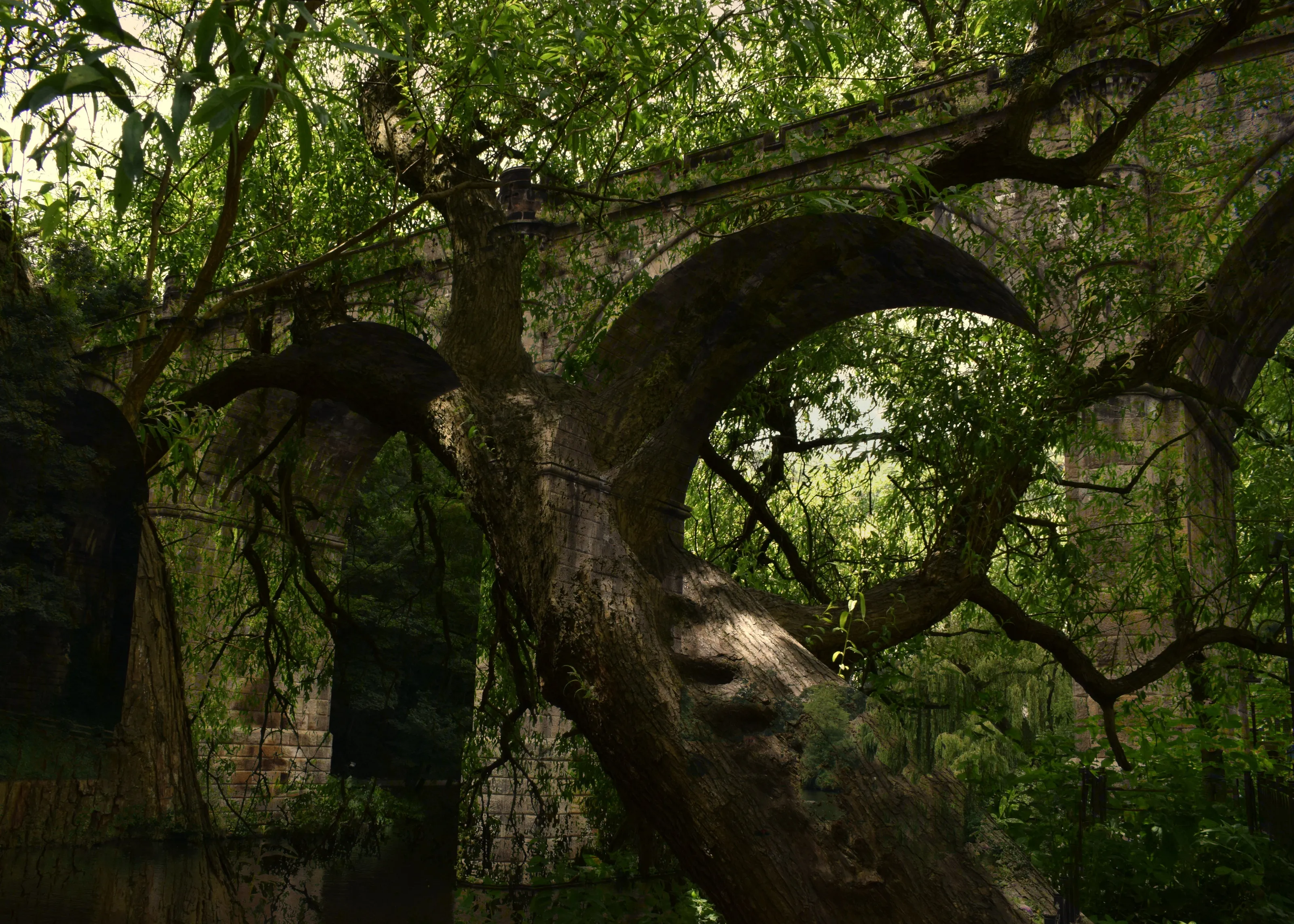 Double Exposure