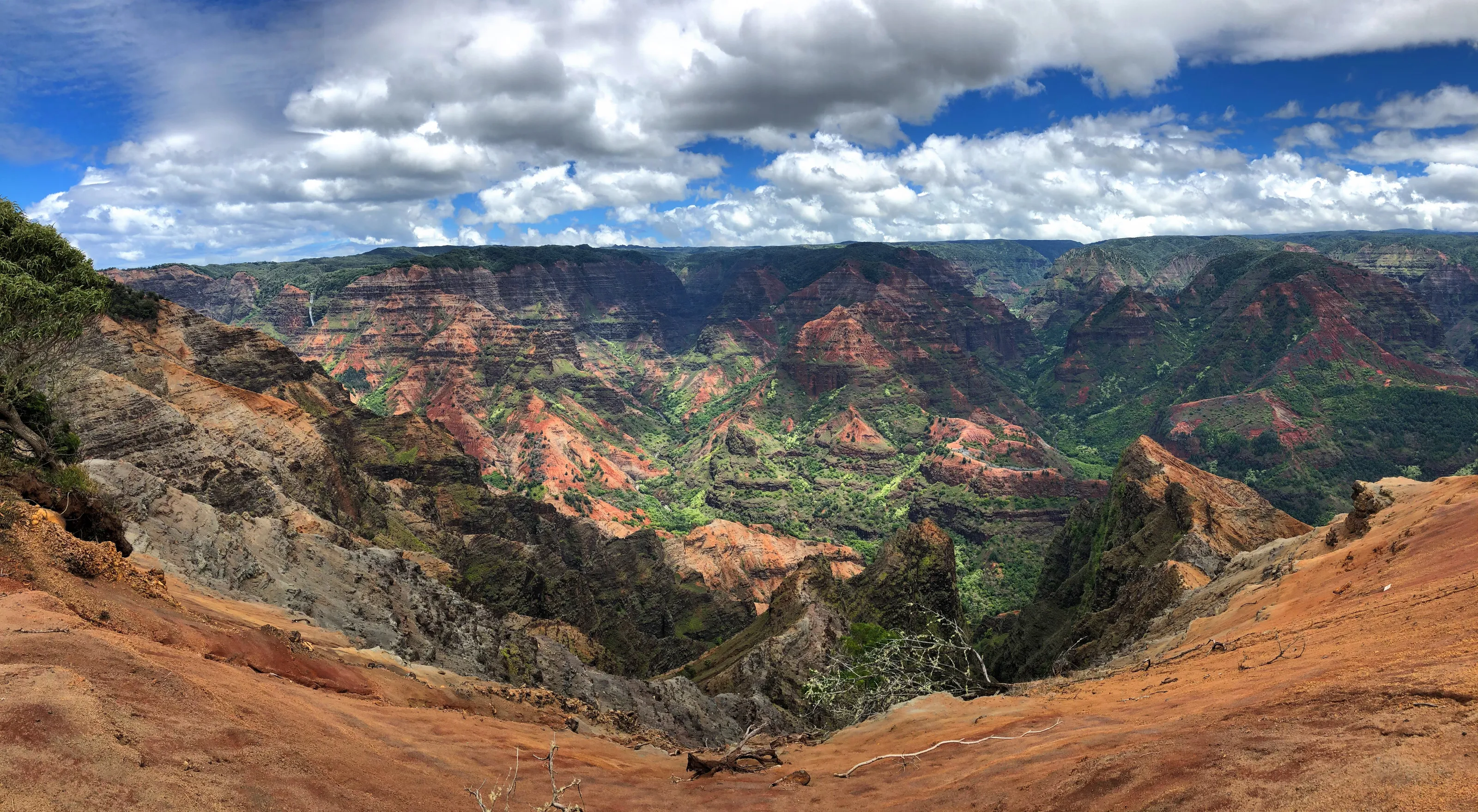 Waimea Canyon State Park (Kauai, Hawaii)
