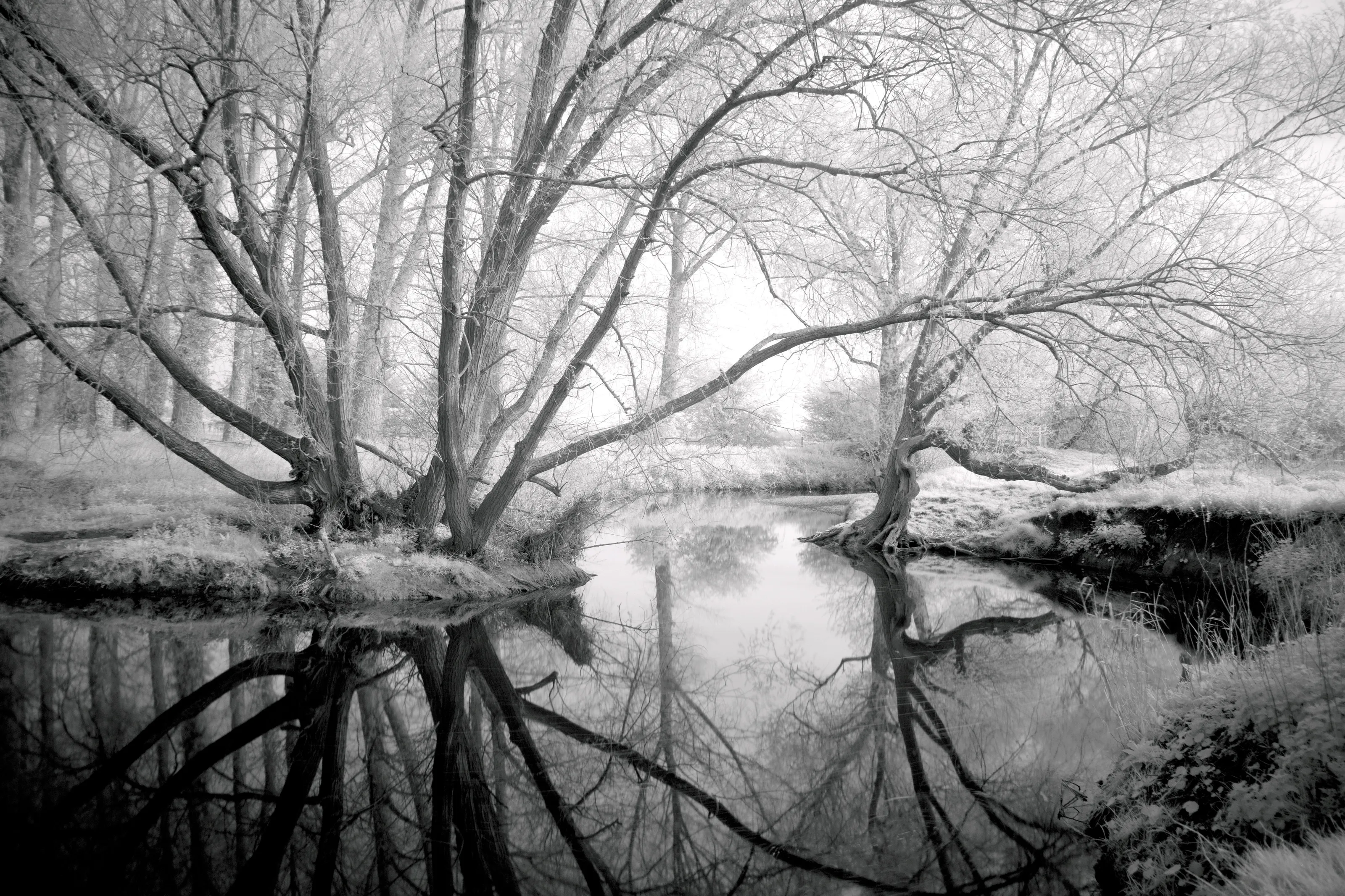 Black & White infrared