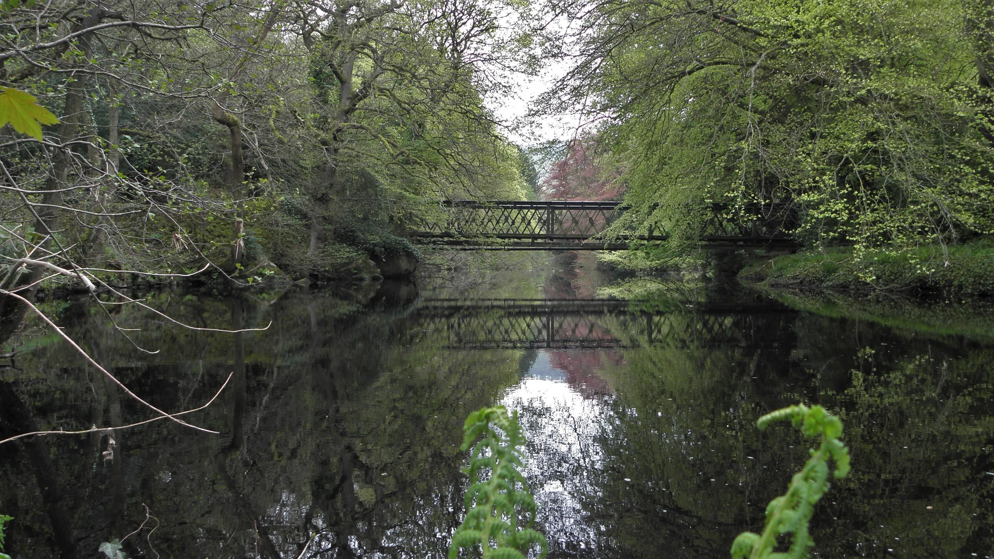 Spring on the river