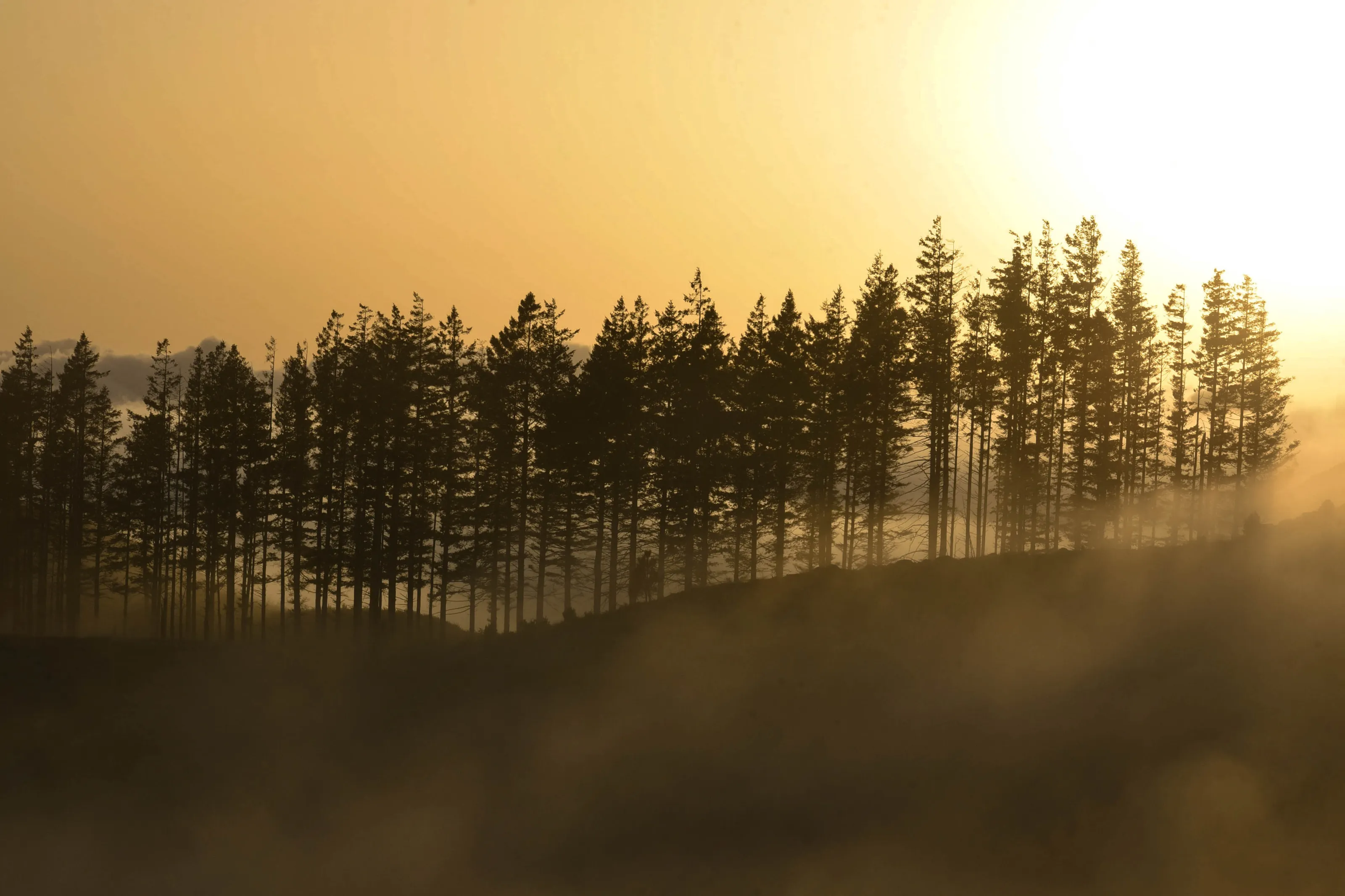 Sunset Mountaintop Fog
