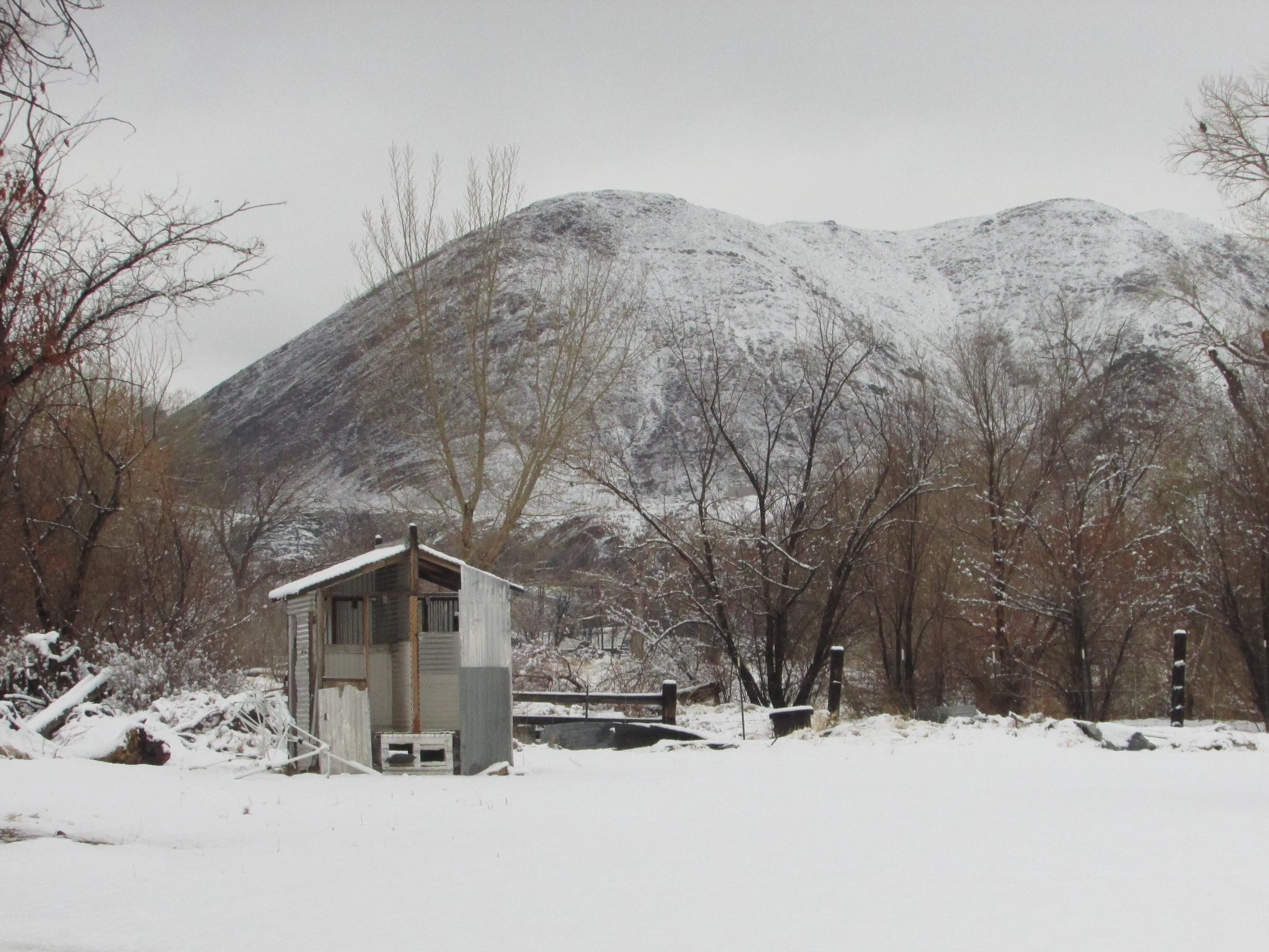 Snowy Shed
