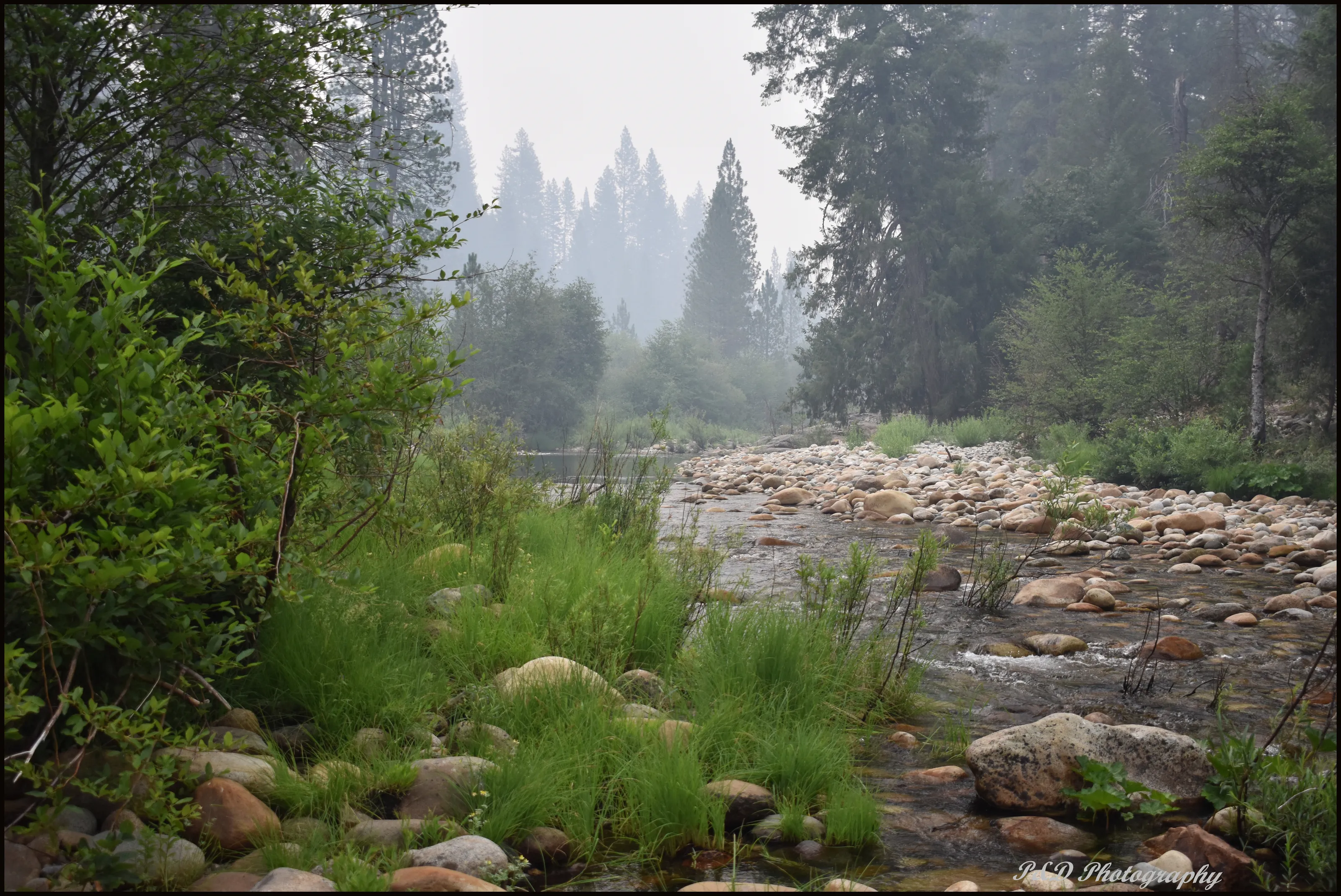 Yosemite Valley