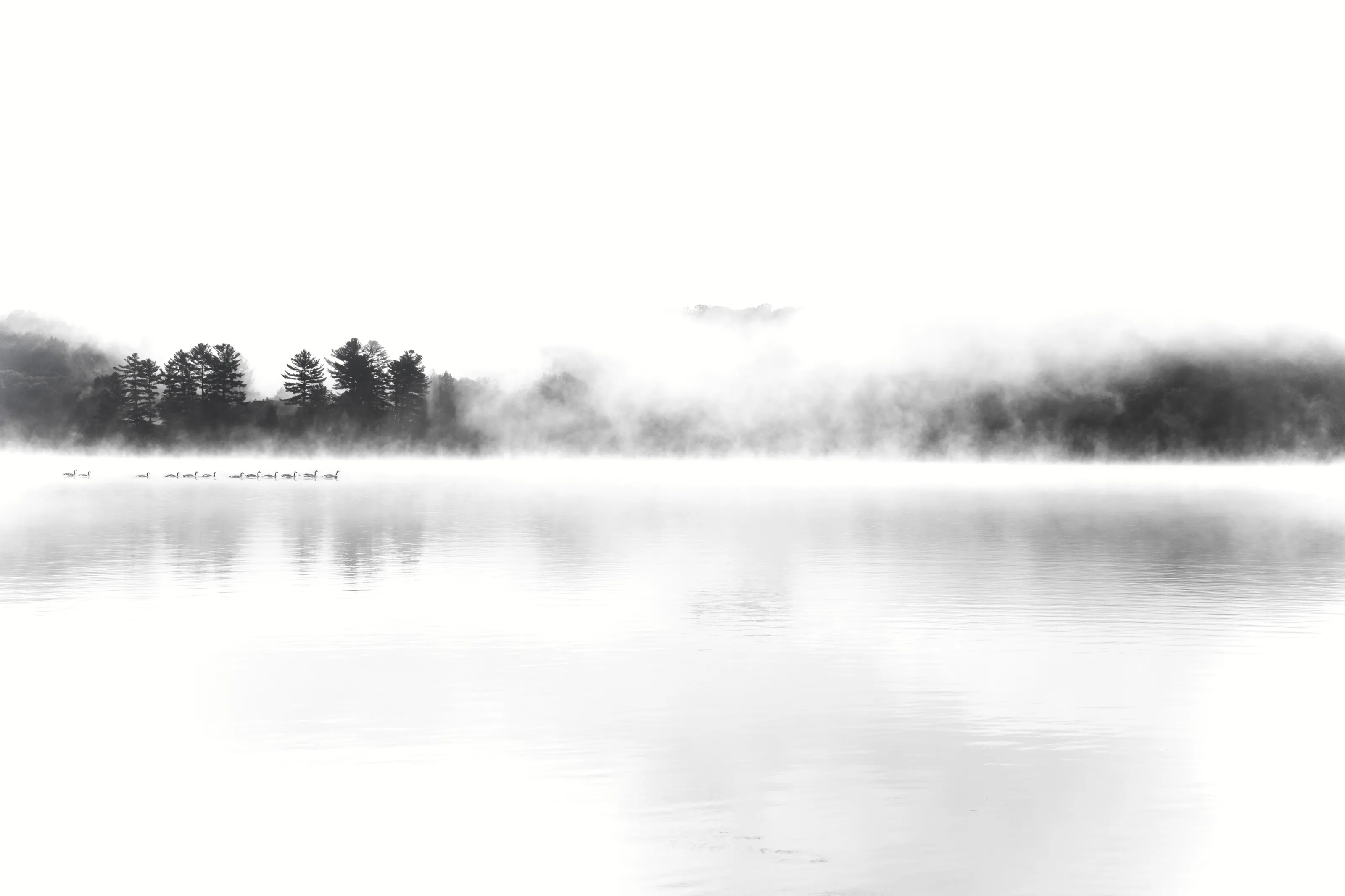 Misty Morning