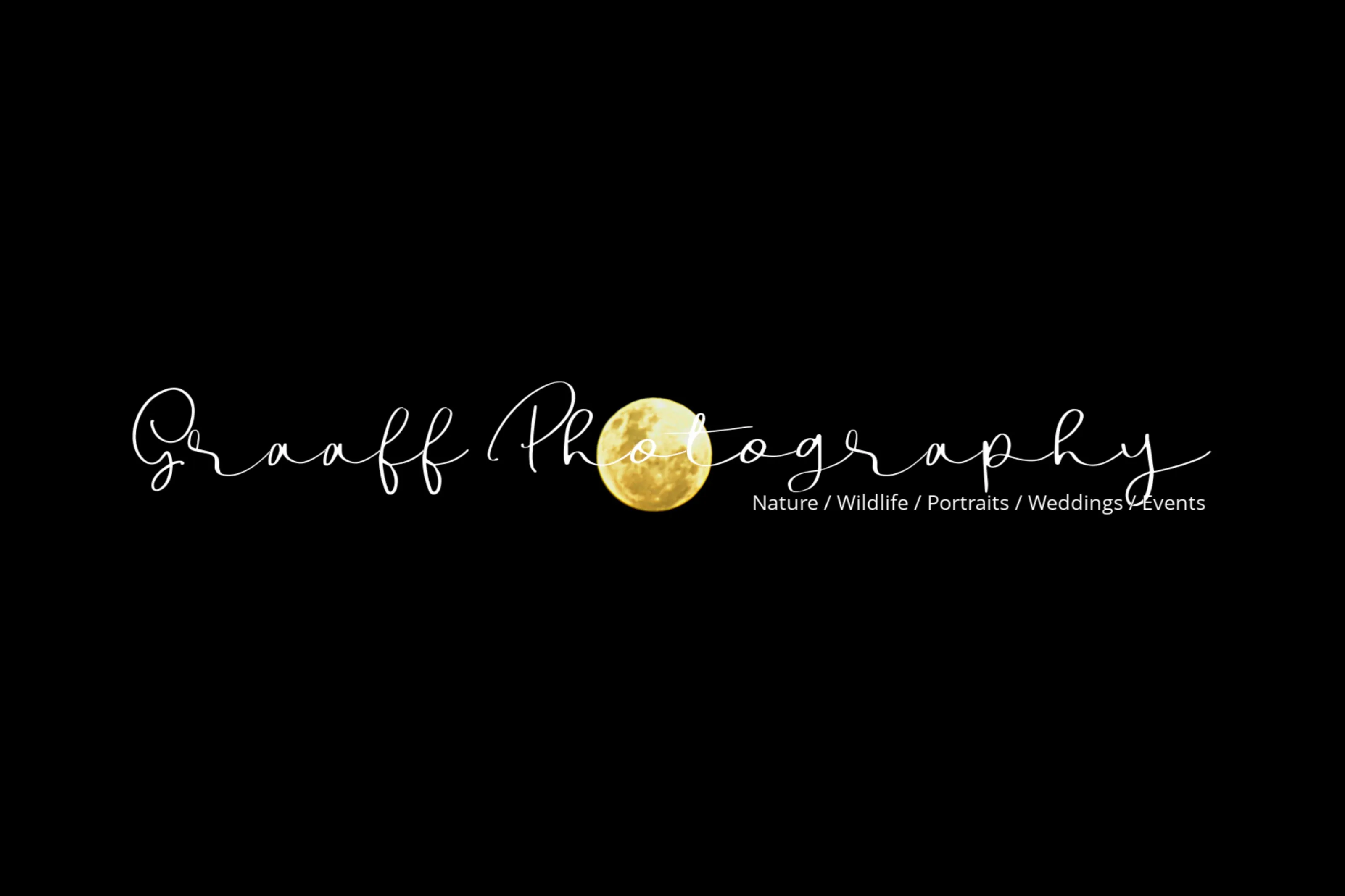 Moon Light