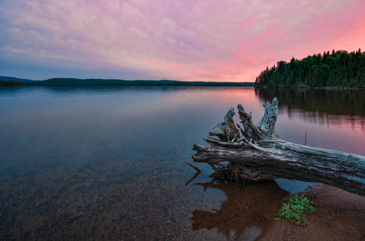 Entry 213374