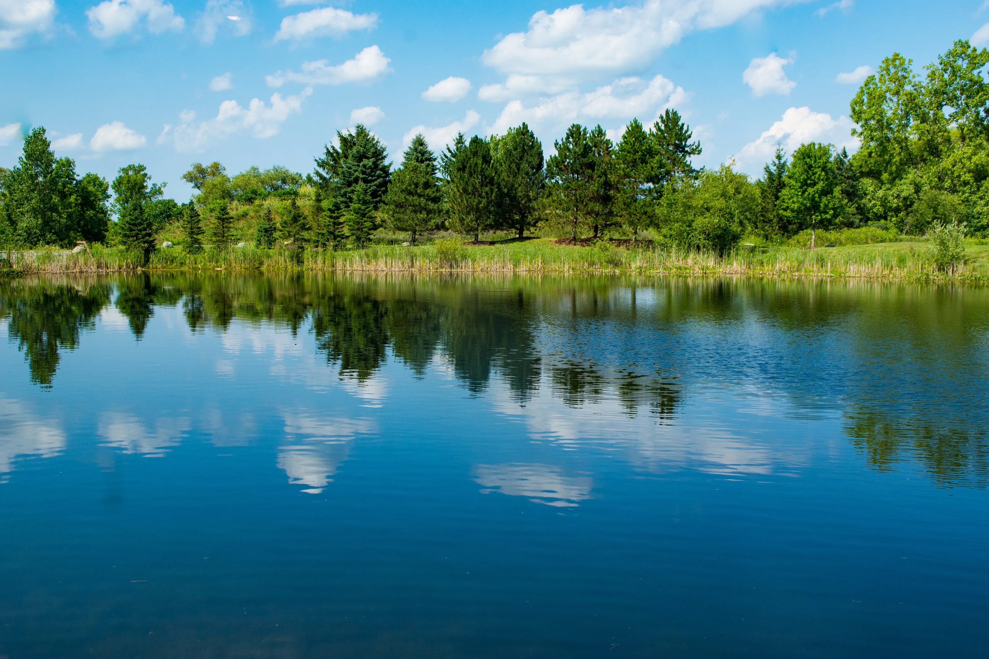 On the Lake