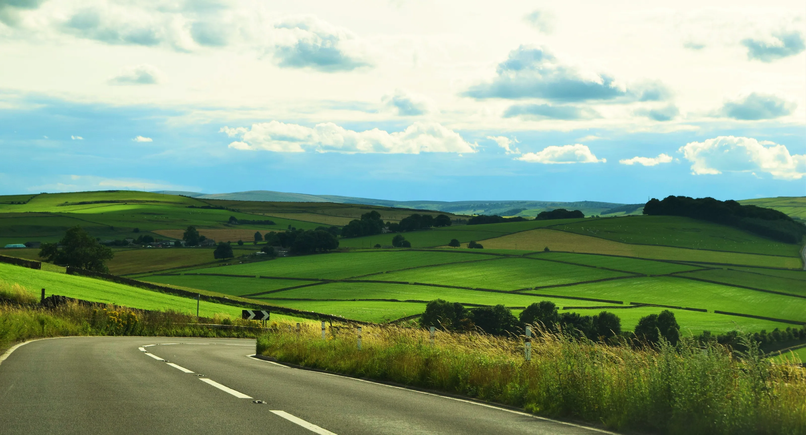 Beautiful Landscape
