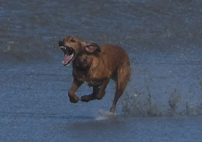 Sprint on the beach