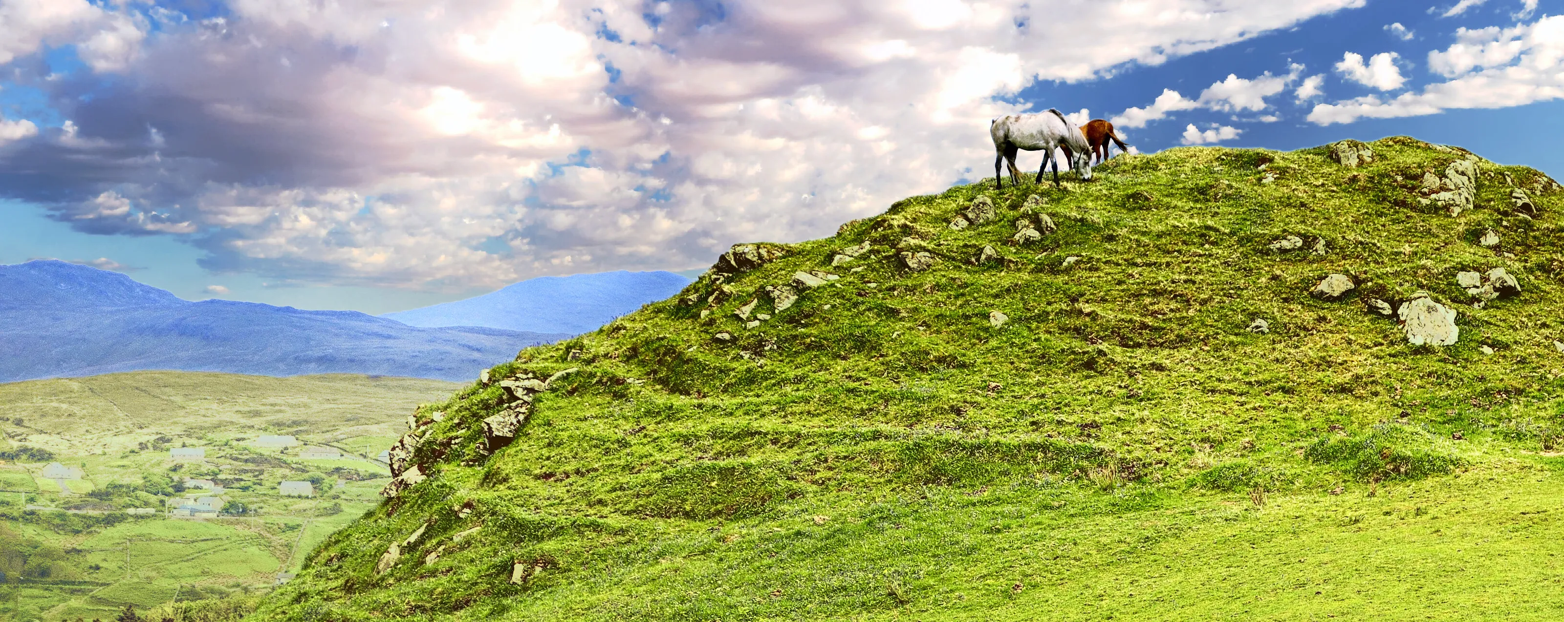 Horses on Mountain