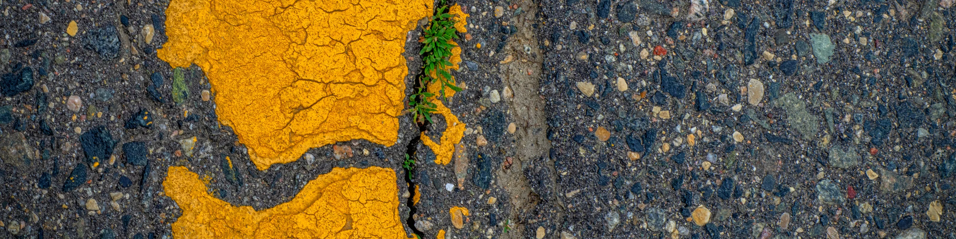The Road