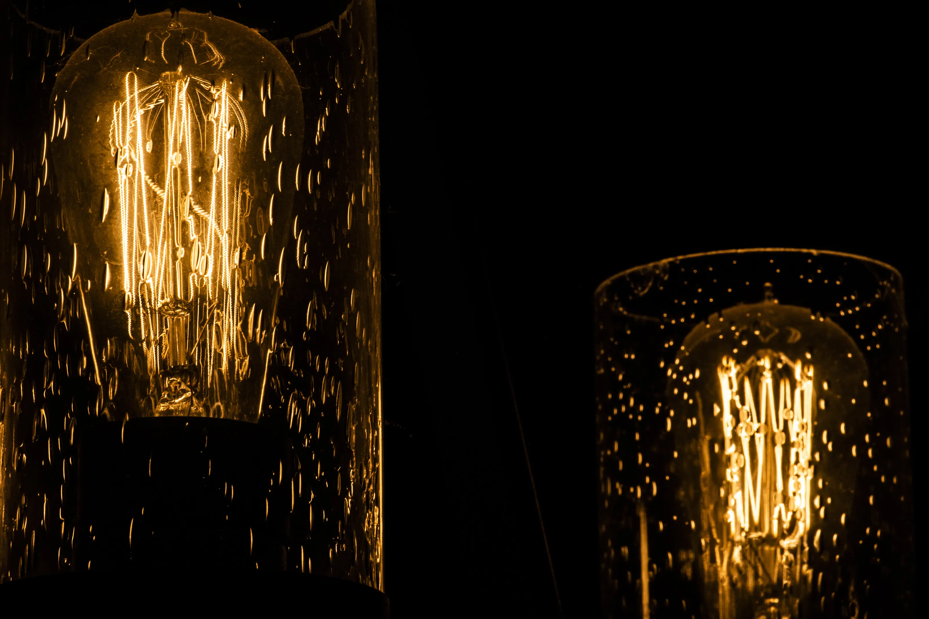 Edison Bulbs