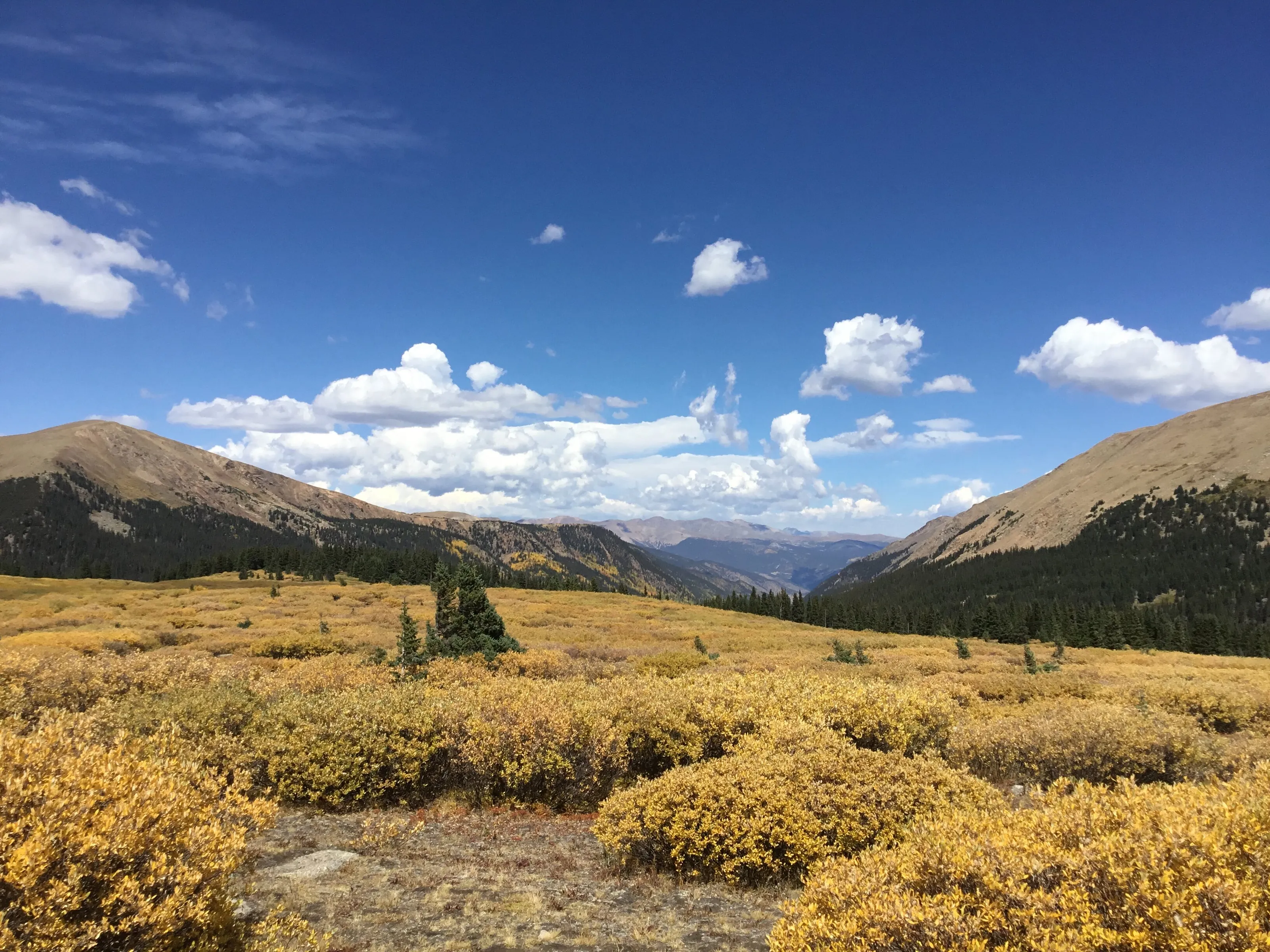 The Beauty of Guanella Pass