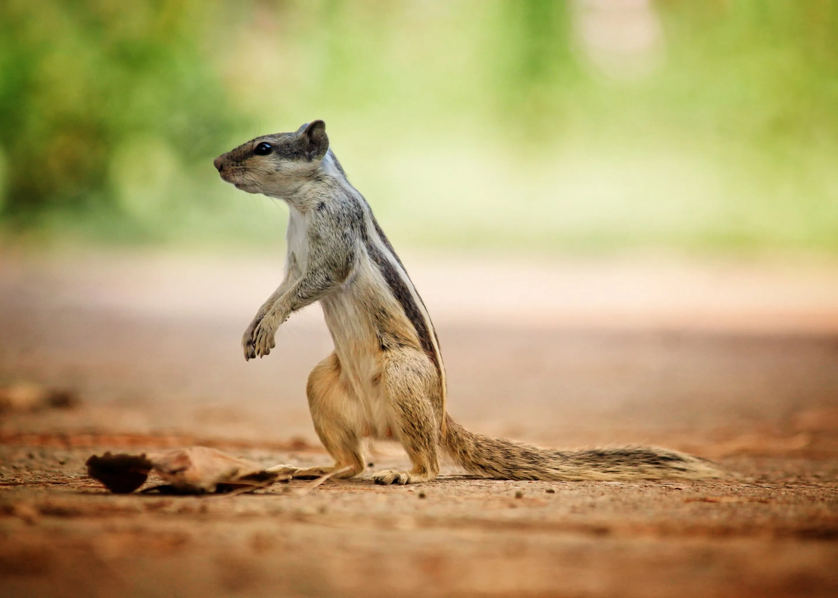 MOMENTS ARE AMAZING BUT THE THING BEYOND AMAZING IS AN EPIC CLICK. ANIMALS ARE THE BEST CREATION.