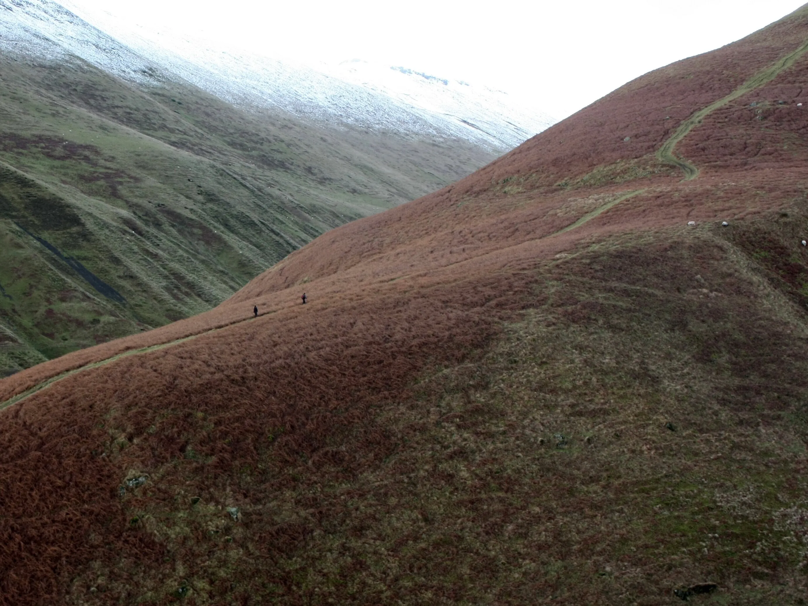 Ben Cleuch and The Law