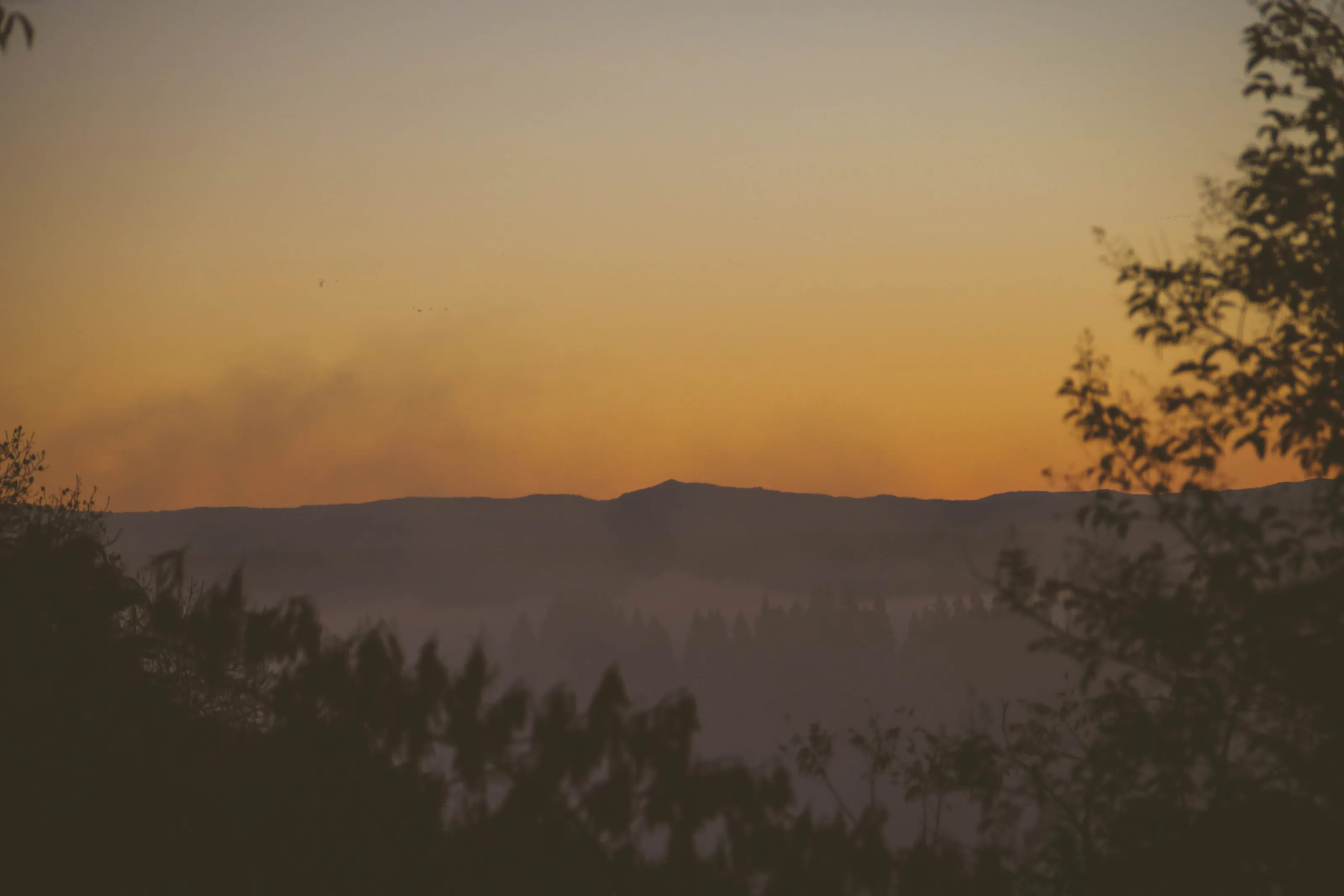 Last Morning in California