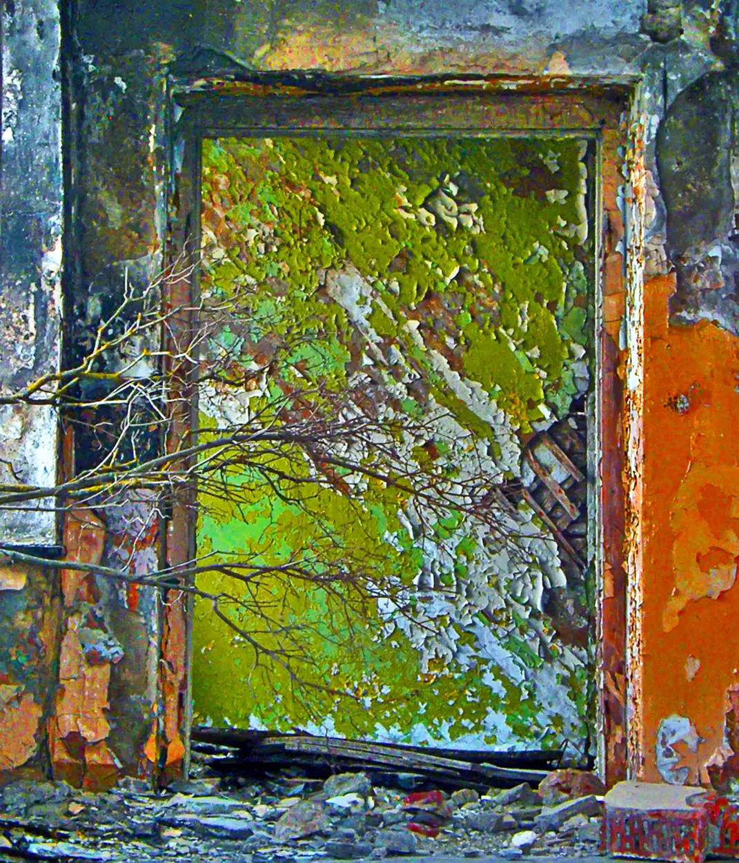 Entry 6700818