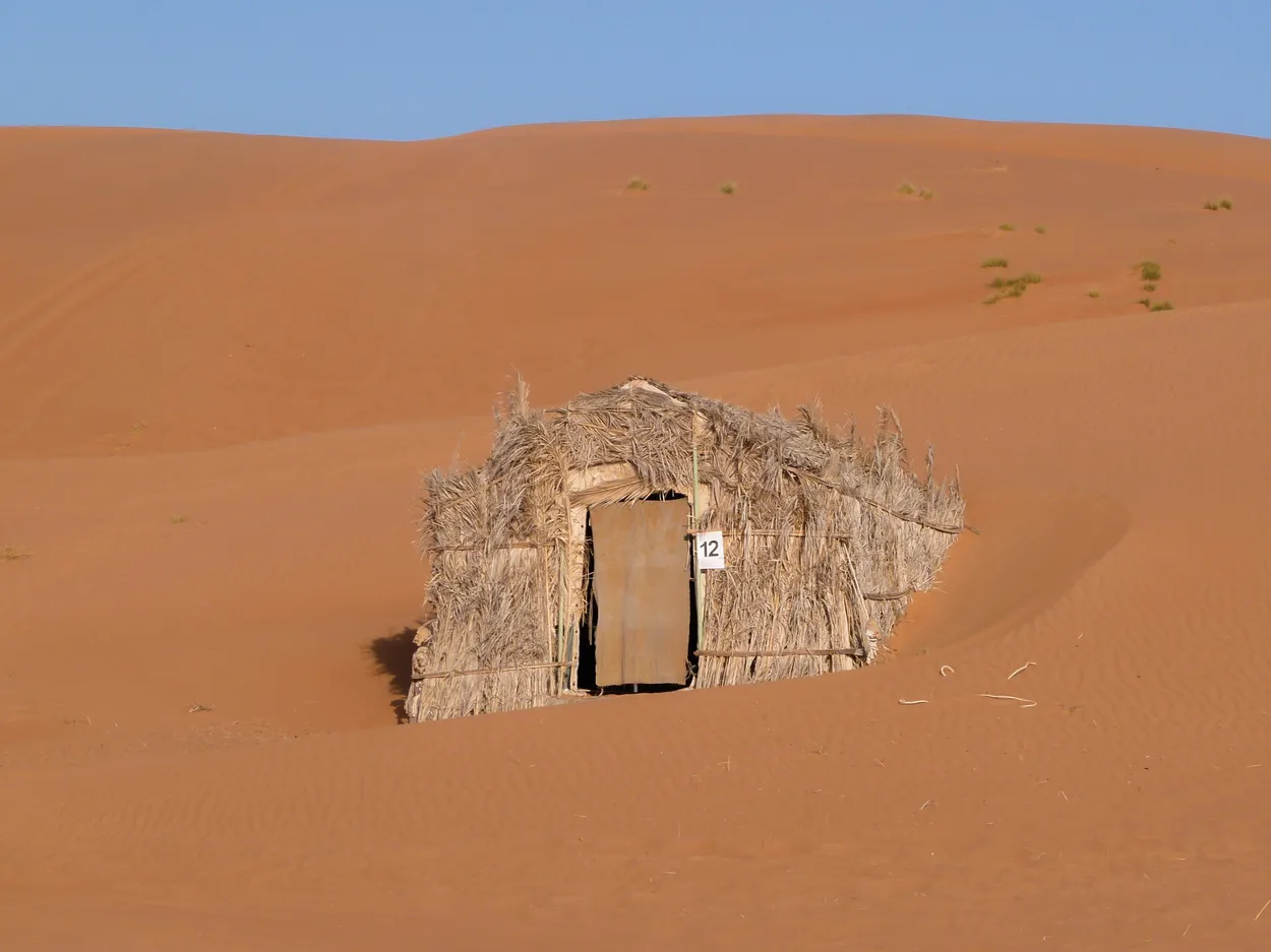 Entry 20335561