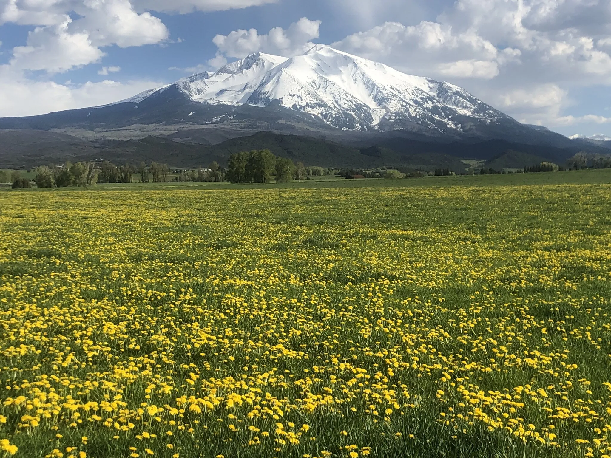 Mount Sopris