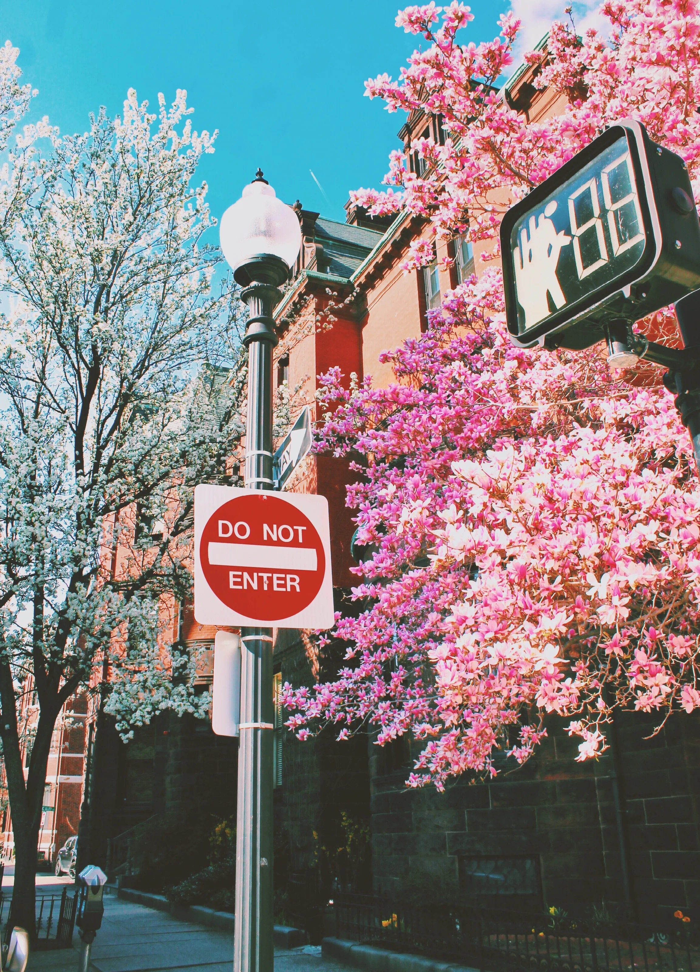 Spring time in Boston