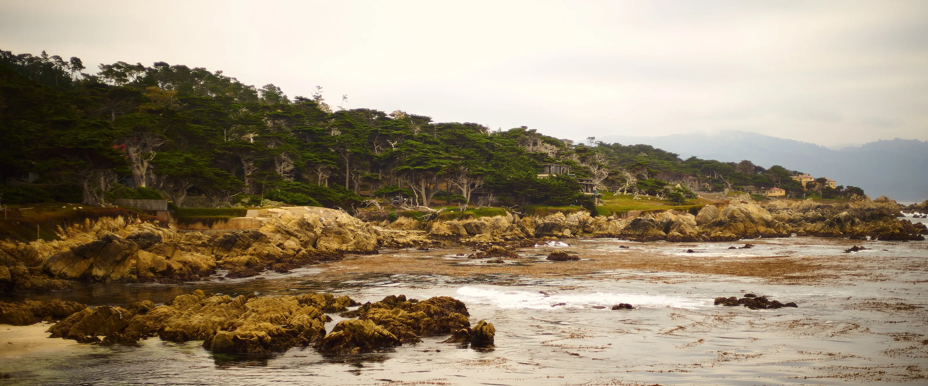 Pebble Beach Beauty