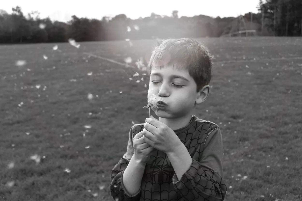 Make a wish