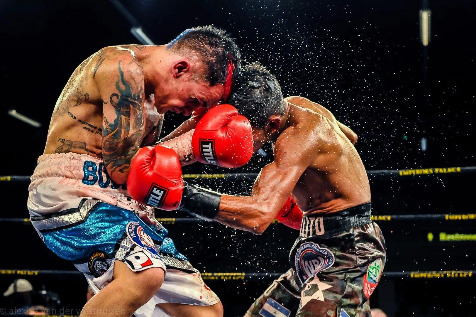 Budler vs Rojas