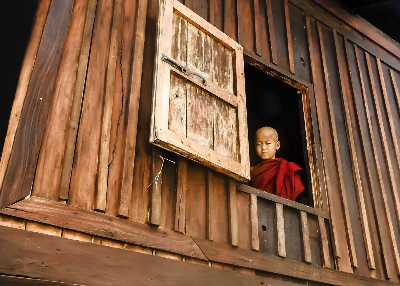 A window into an unknown world