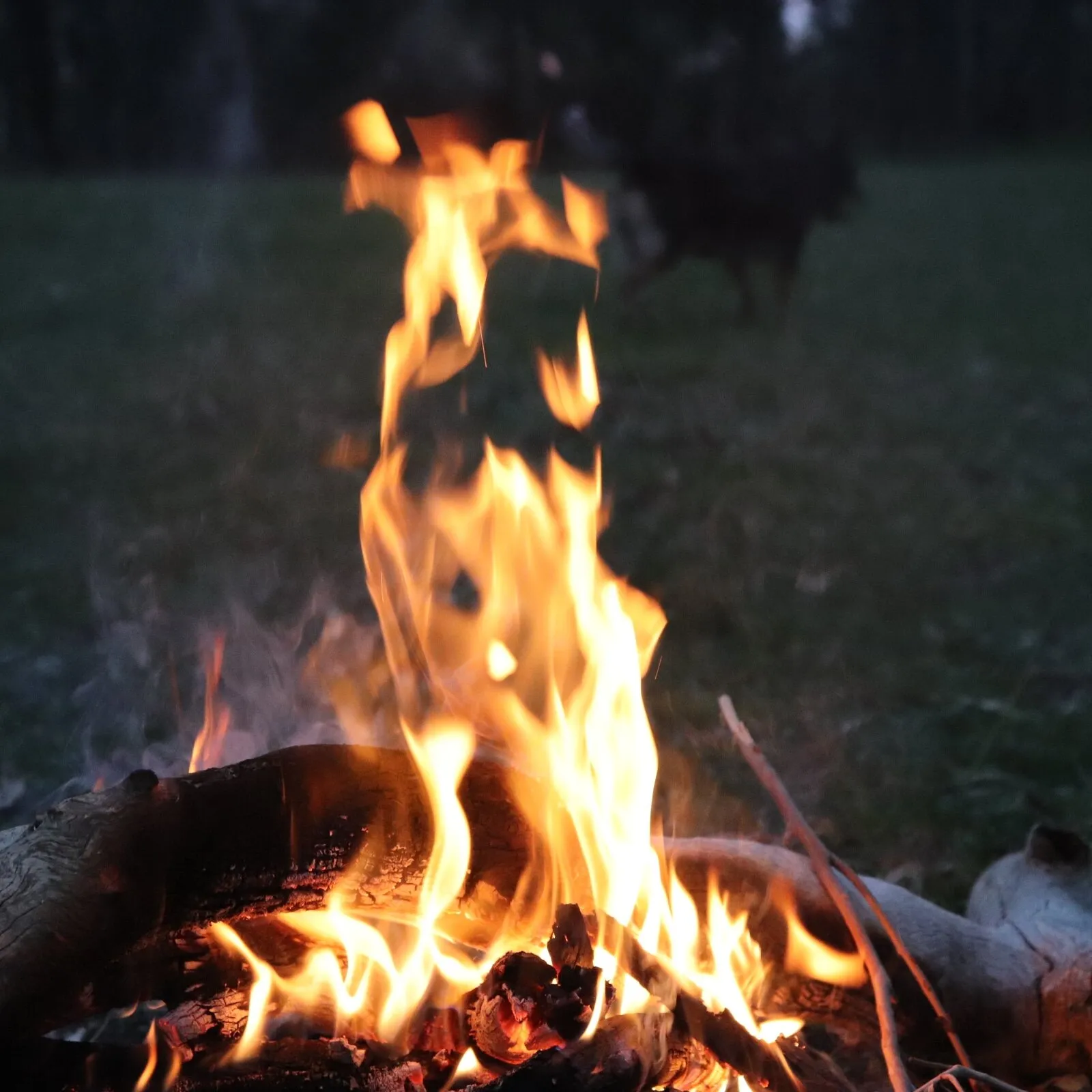 Fire