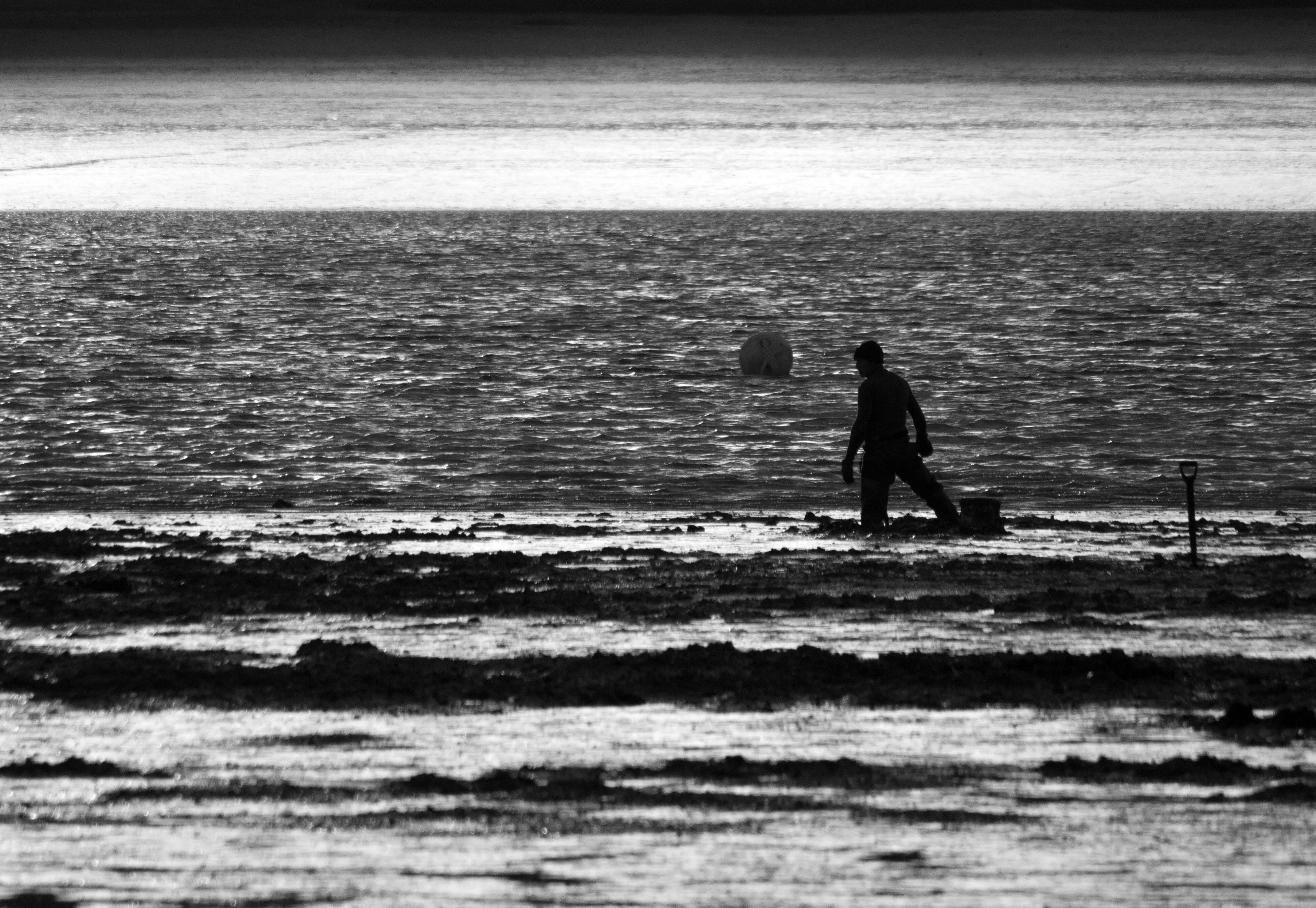 Searching for Bait