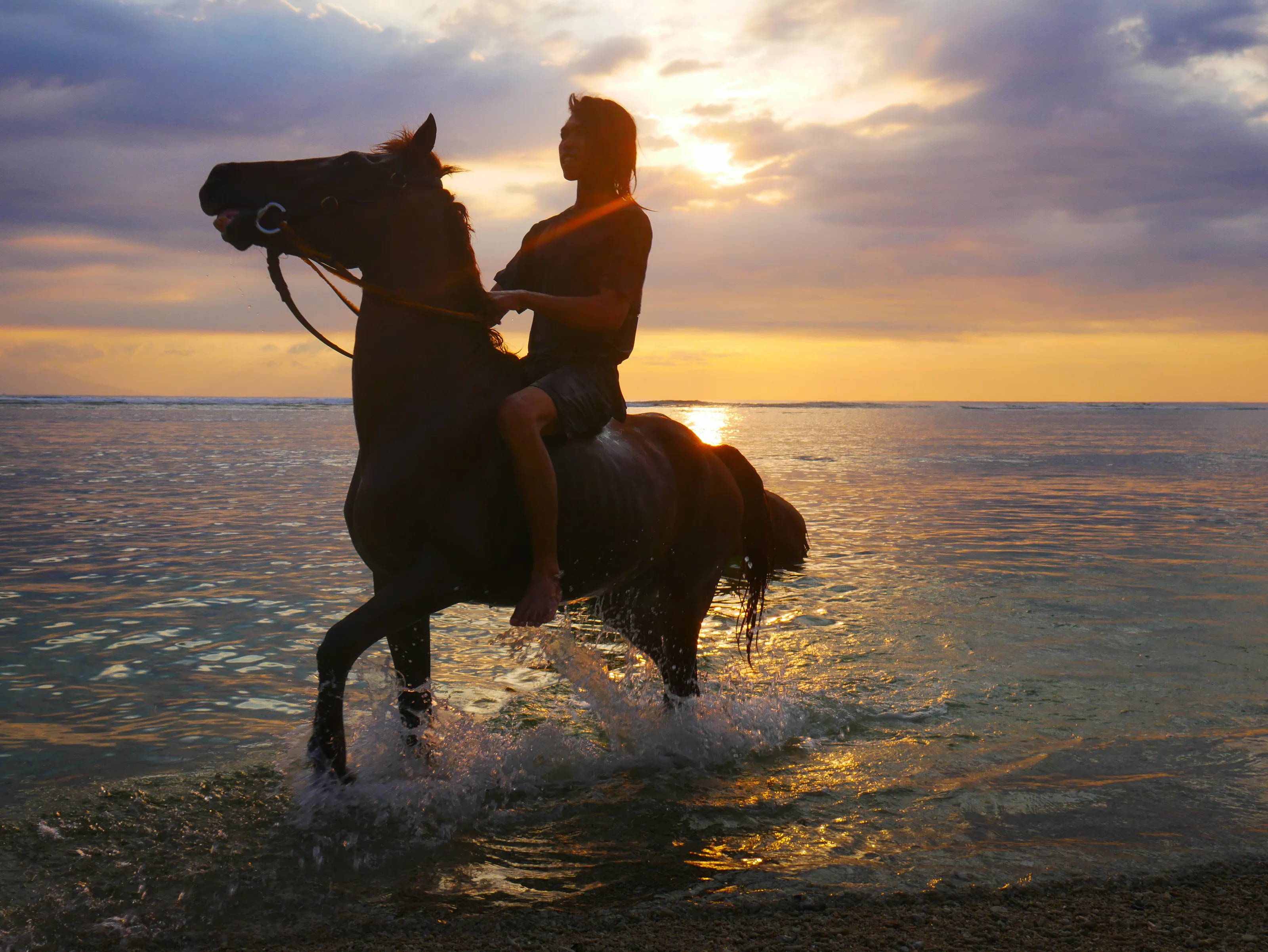 horse rider at sunset
