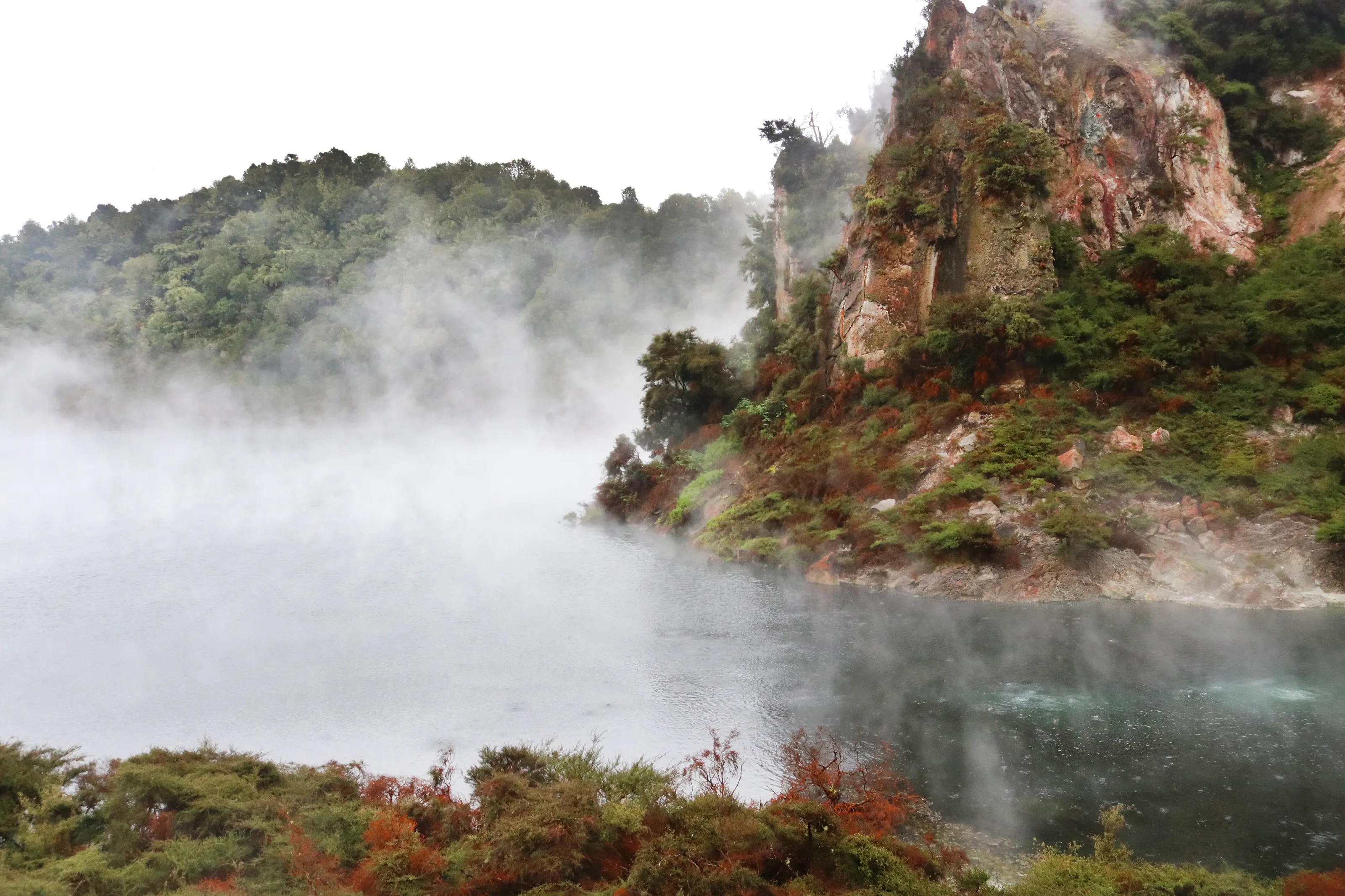 Steam Stream