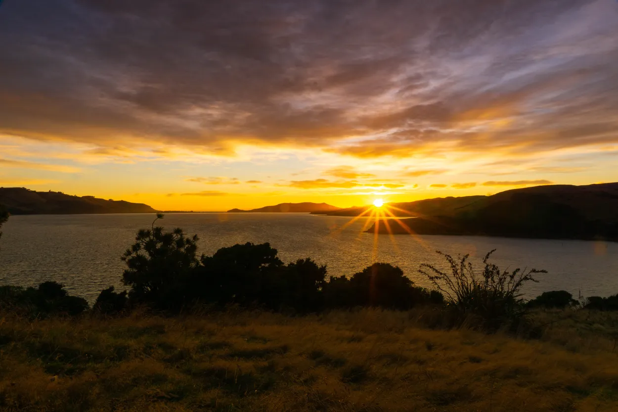 Entry 4173006