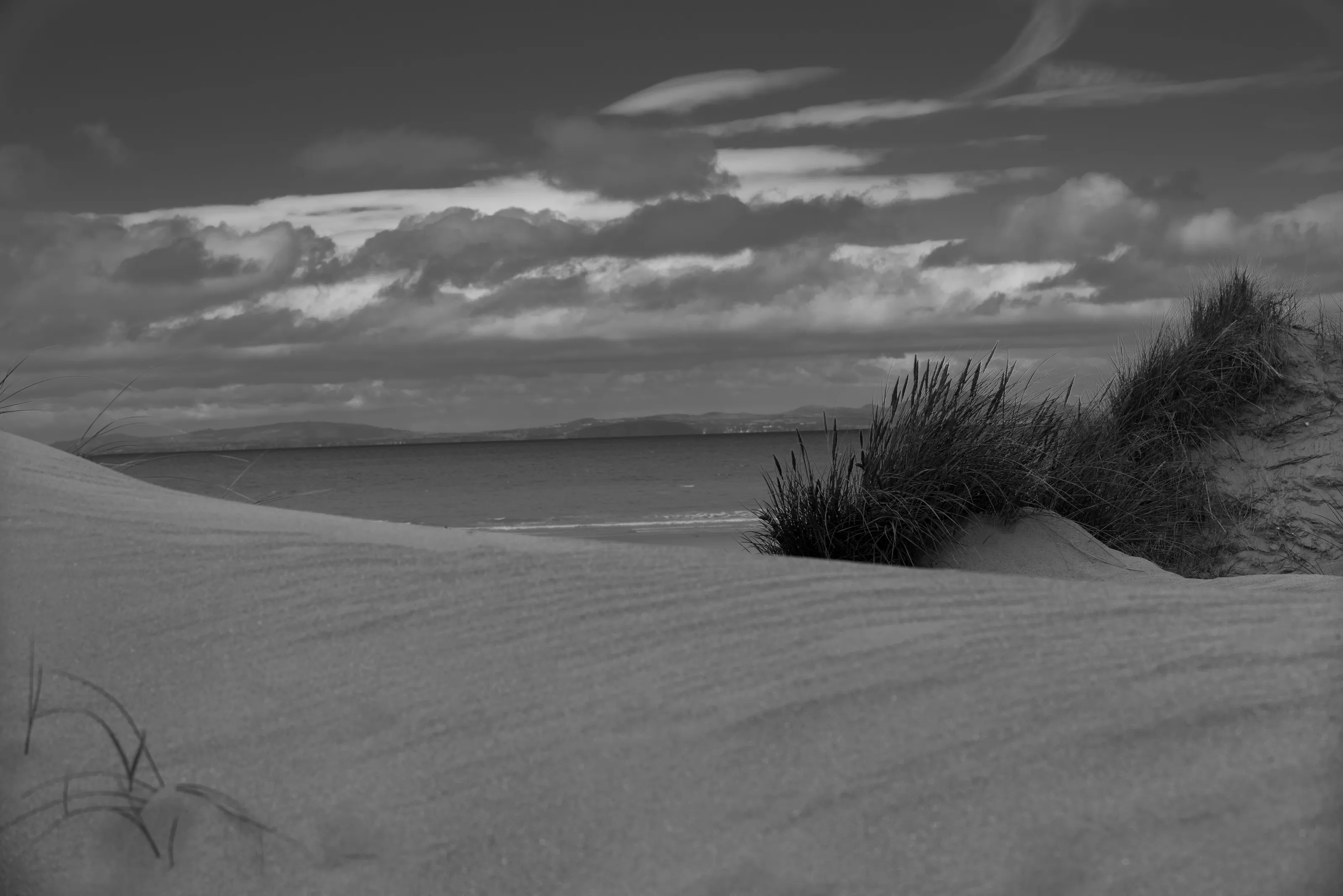 Shell Island Sand Dunes