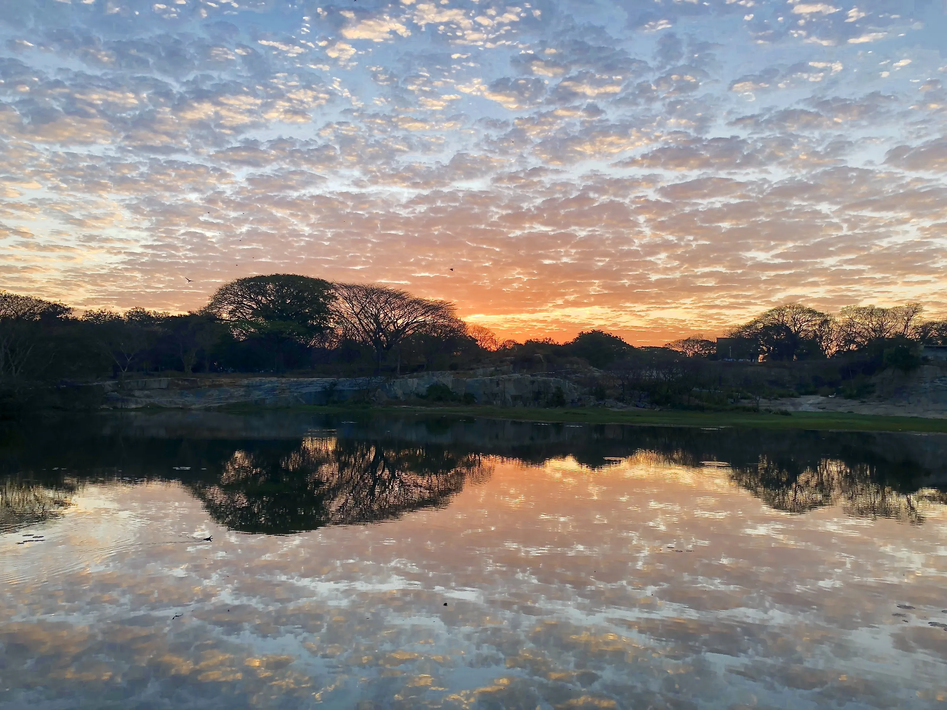 Symmetry at Sunrise