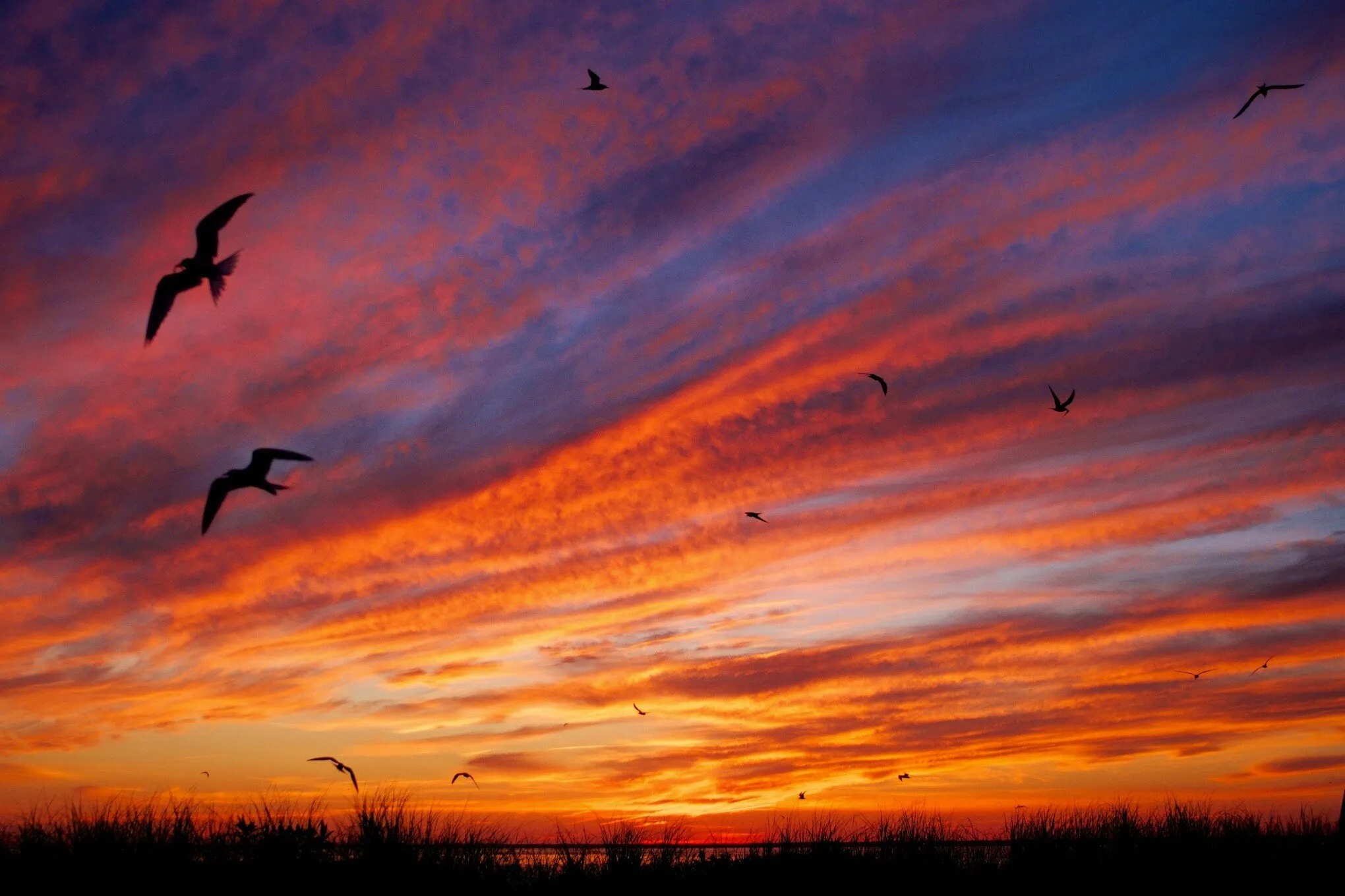 Sunset on Monomoy