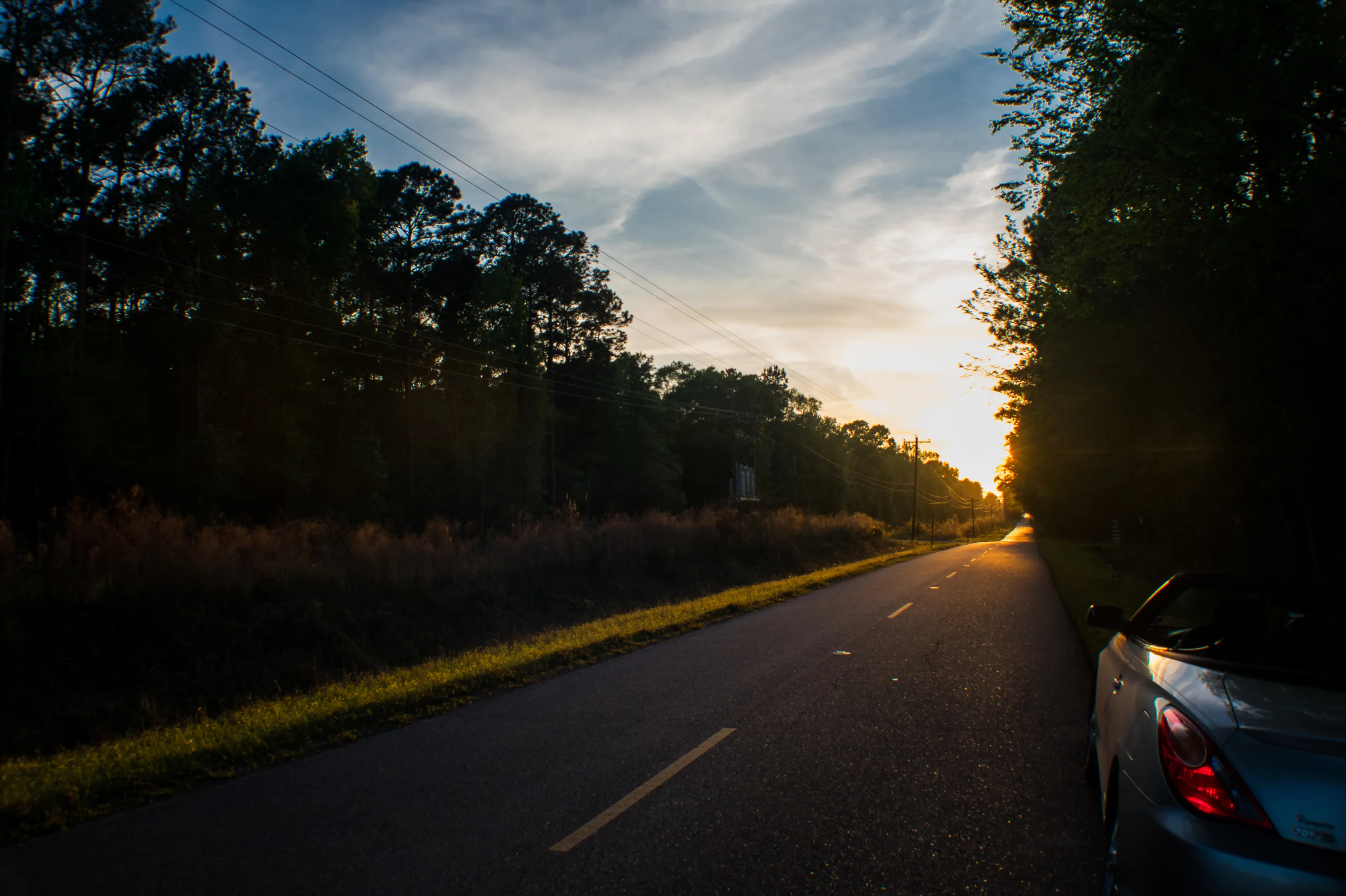Anne loves the sunsets