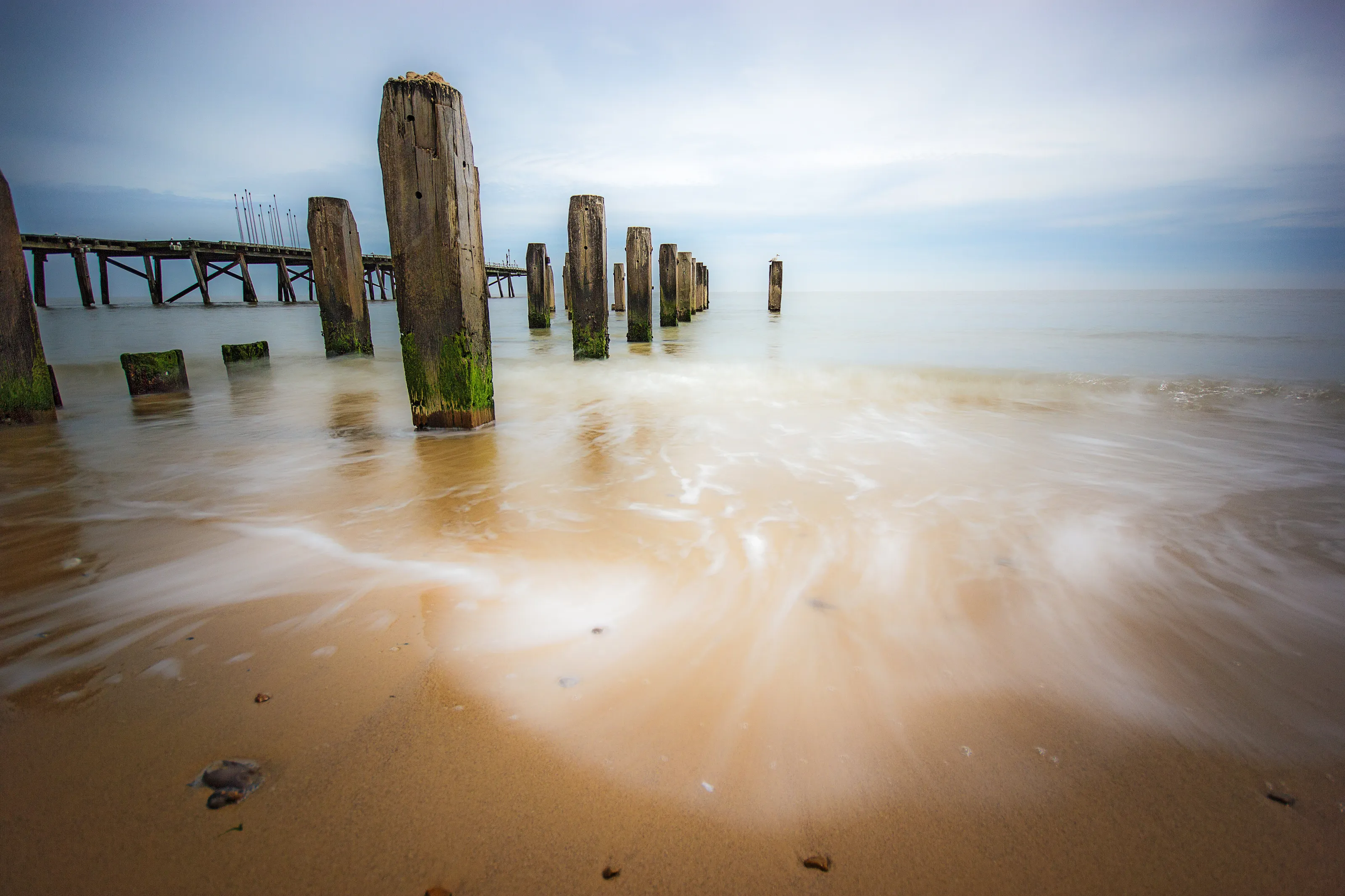 Whispers on the Shore