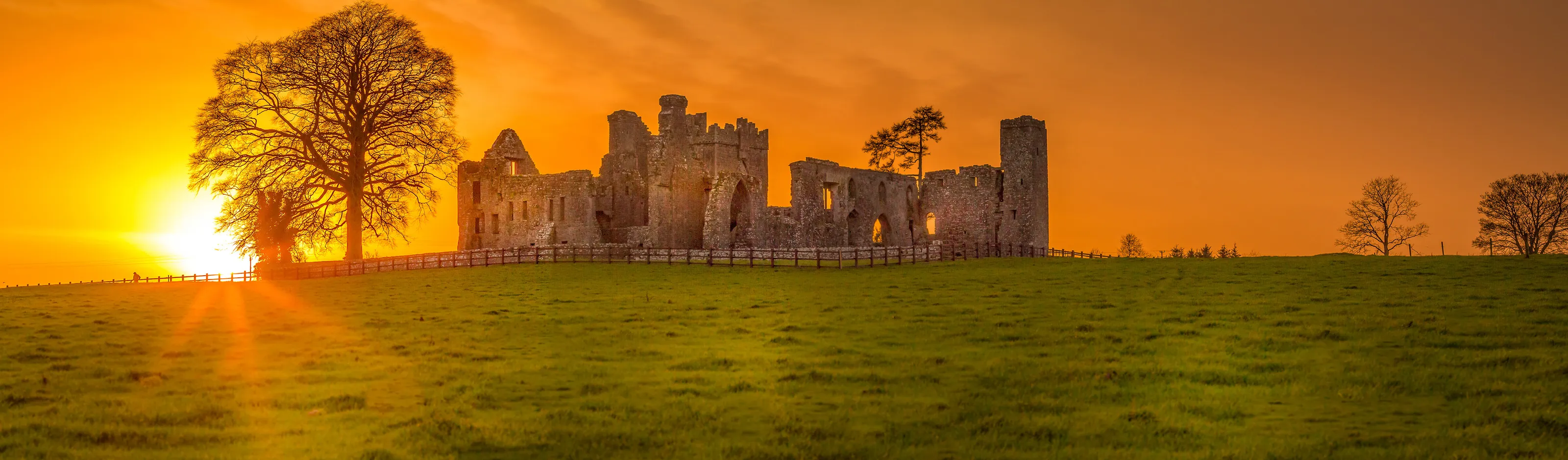 Bective Abbey Sunset