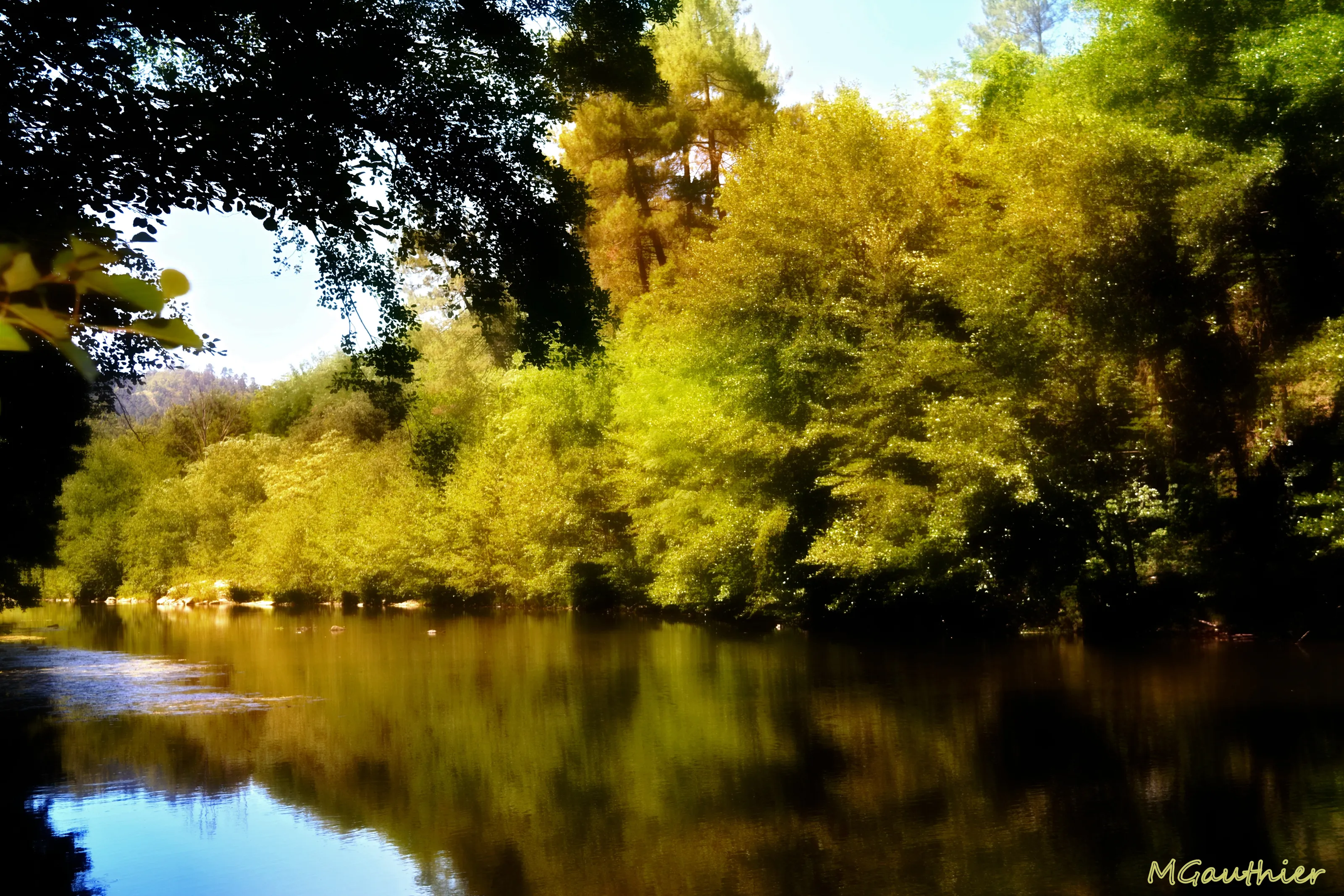 Peaceful moment